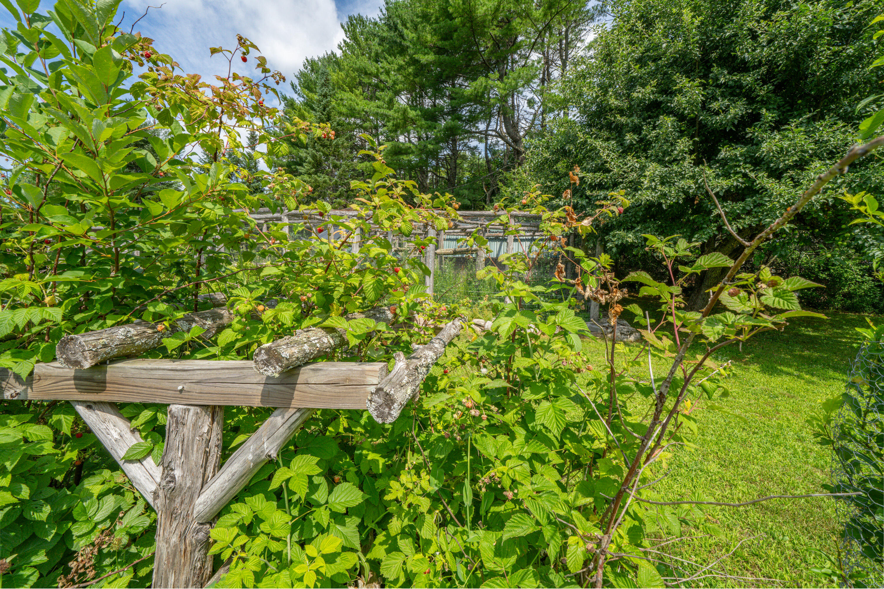 385 Millvale Road Property Photo 23