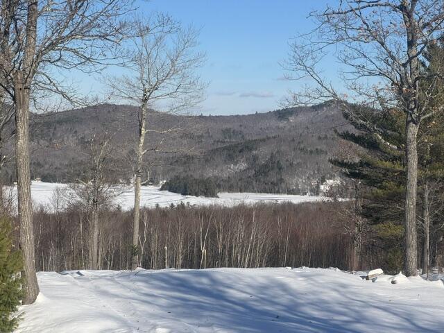 98 Stevens Road Property Photo 56