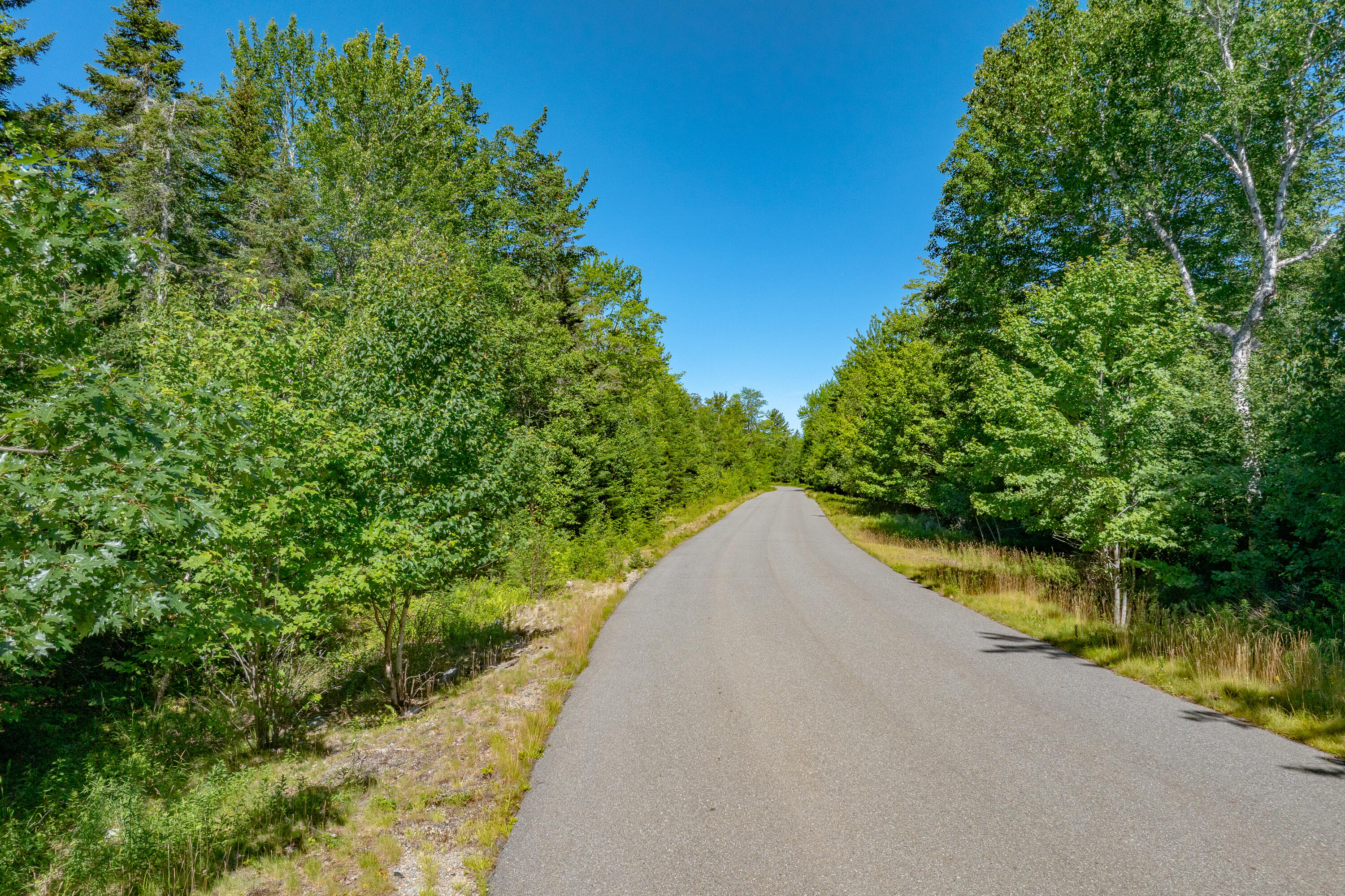 Lot #12 Merganser Drive Property Photo 4