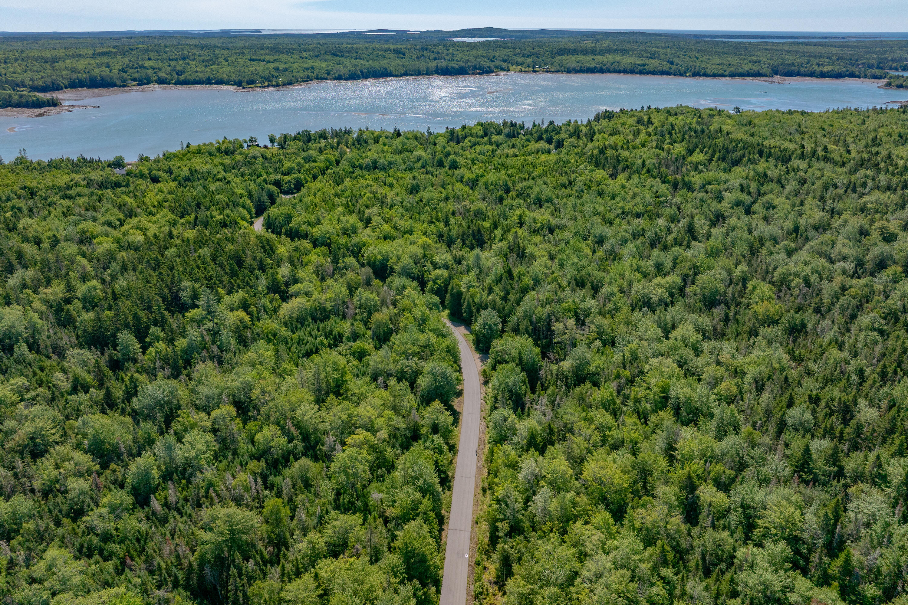 Lot #12 Merganser Drive Property Photo 6