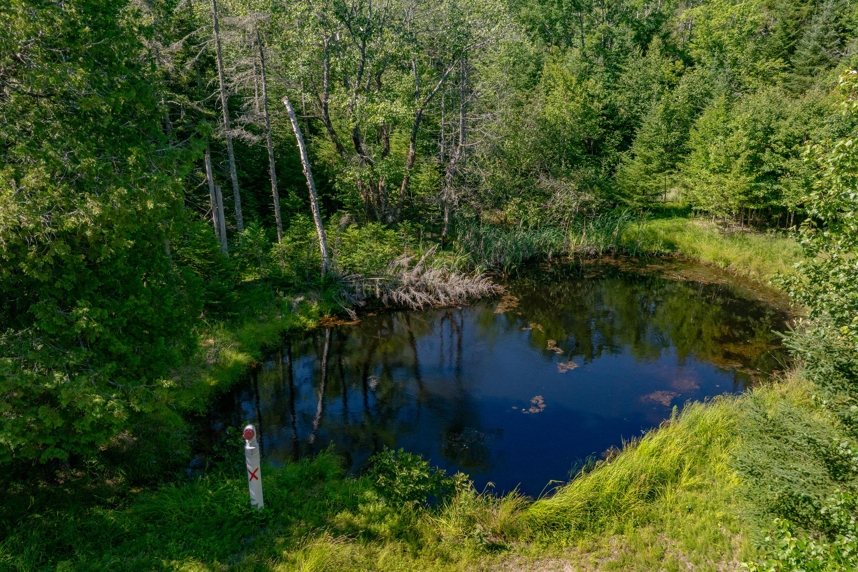 Lot #12 Merganser Drive Property Photo 11