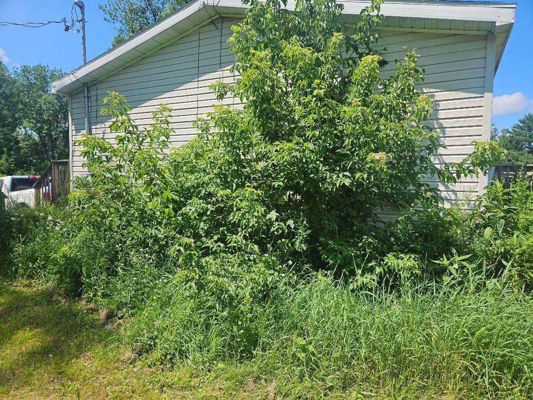 224 Stetson Road Property Photo 3