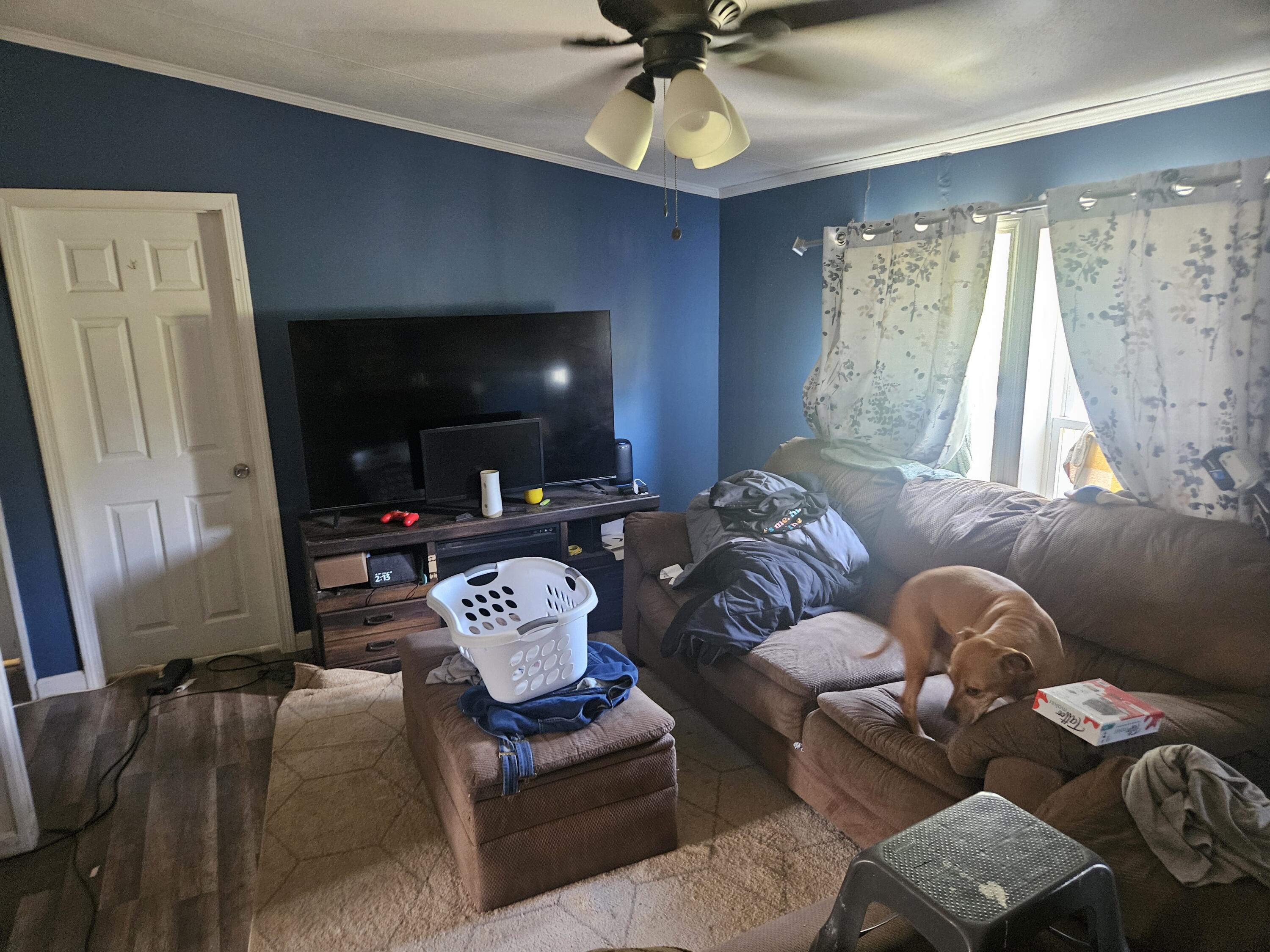 224 Stetson Road Property Photo 11