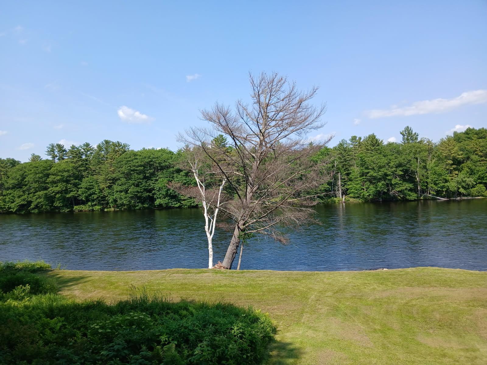 2481 Kennebec River Road Property Photo 11