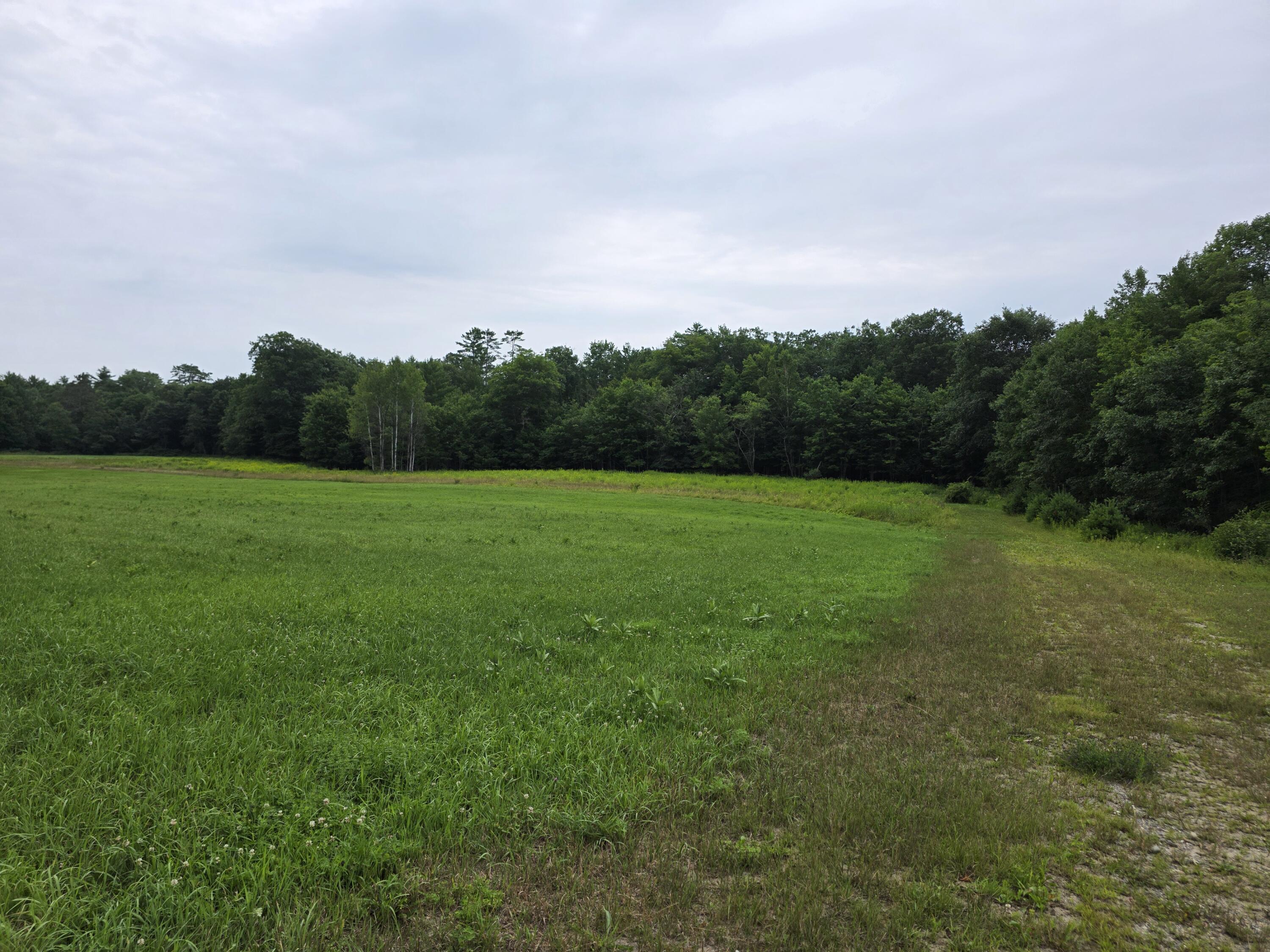 L12-5 Strickland Ferry Road Property Photo 3