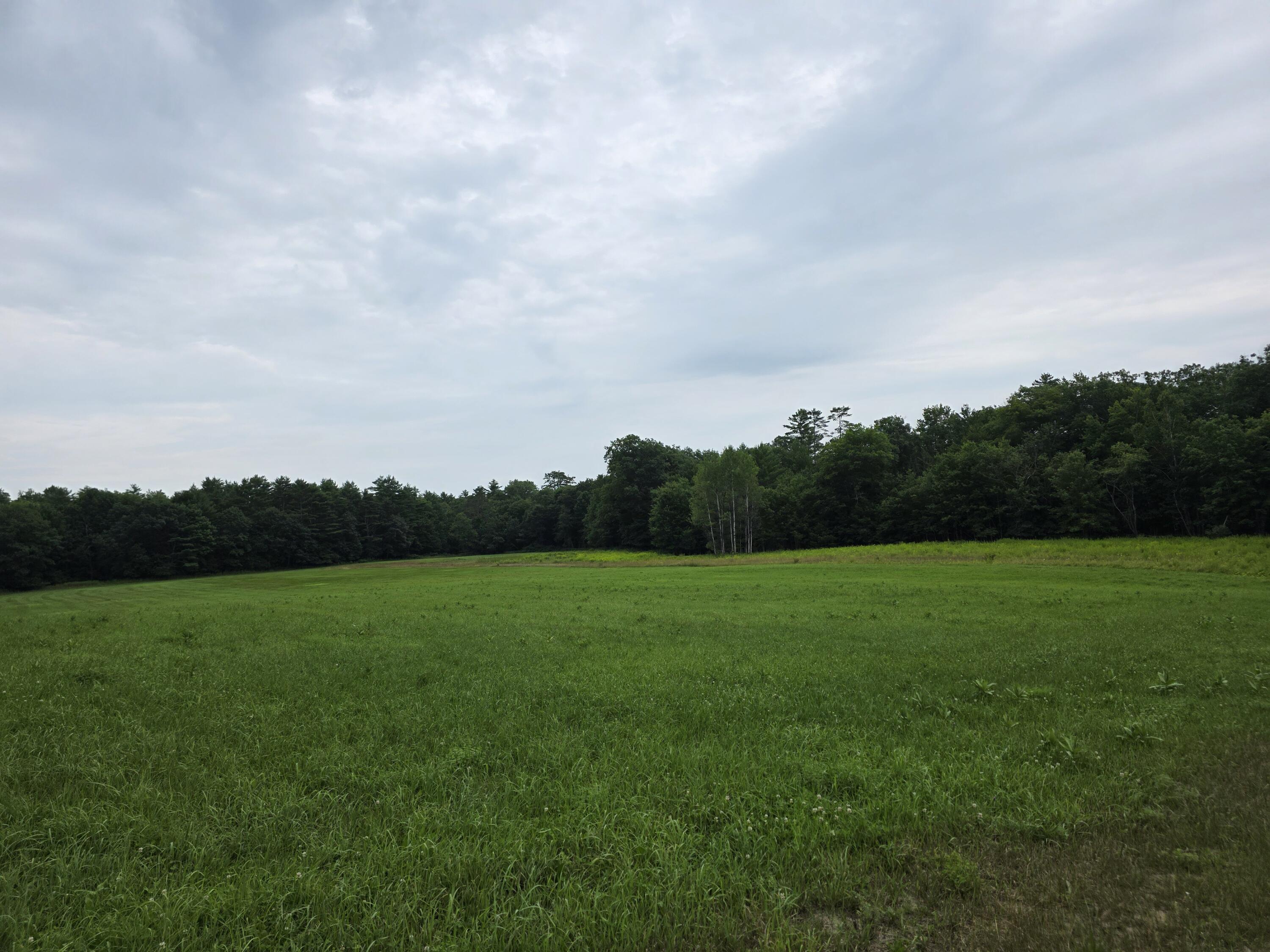 L12-5 Strickland Ferry Road Property Photo 5