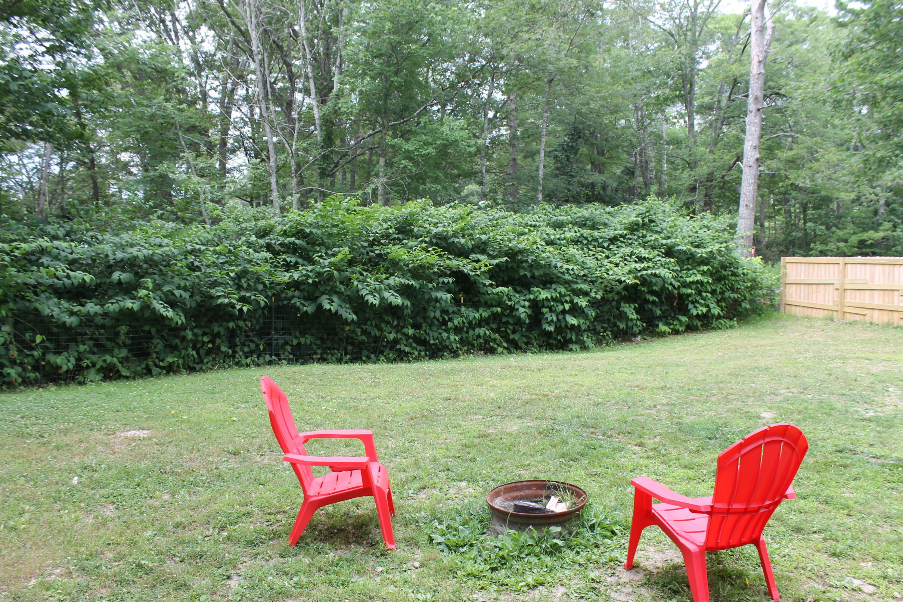 4 Berrys Mill Road Property Photo 14