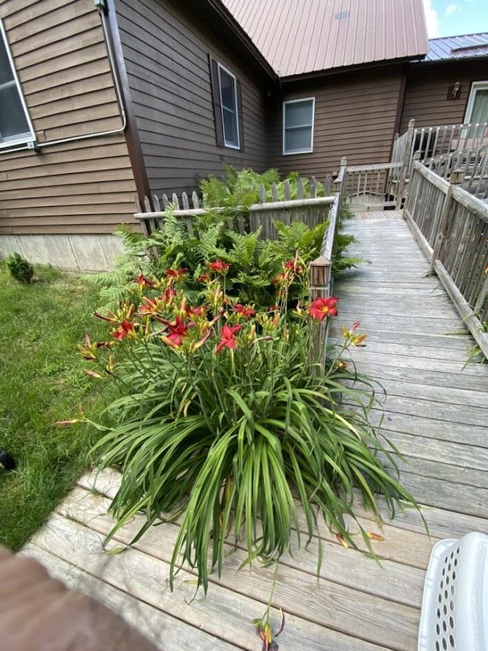 10 Penny Lane Property Photo 98