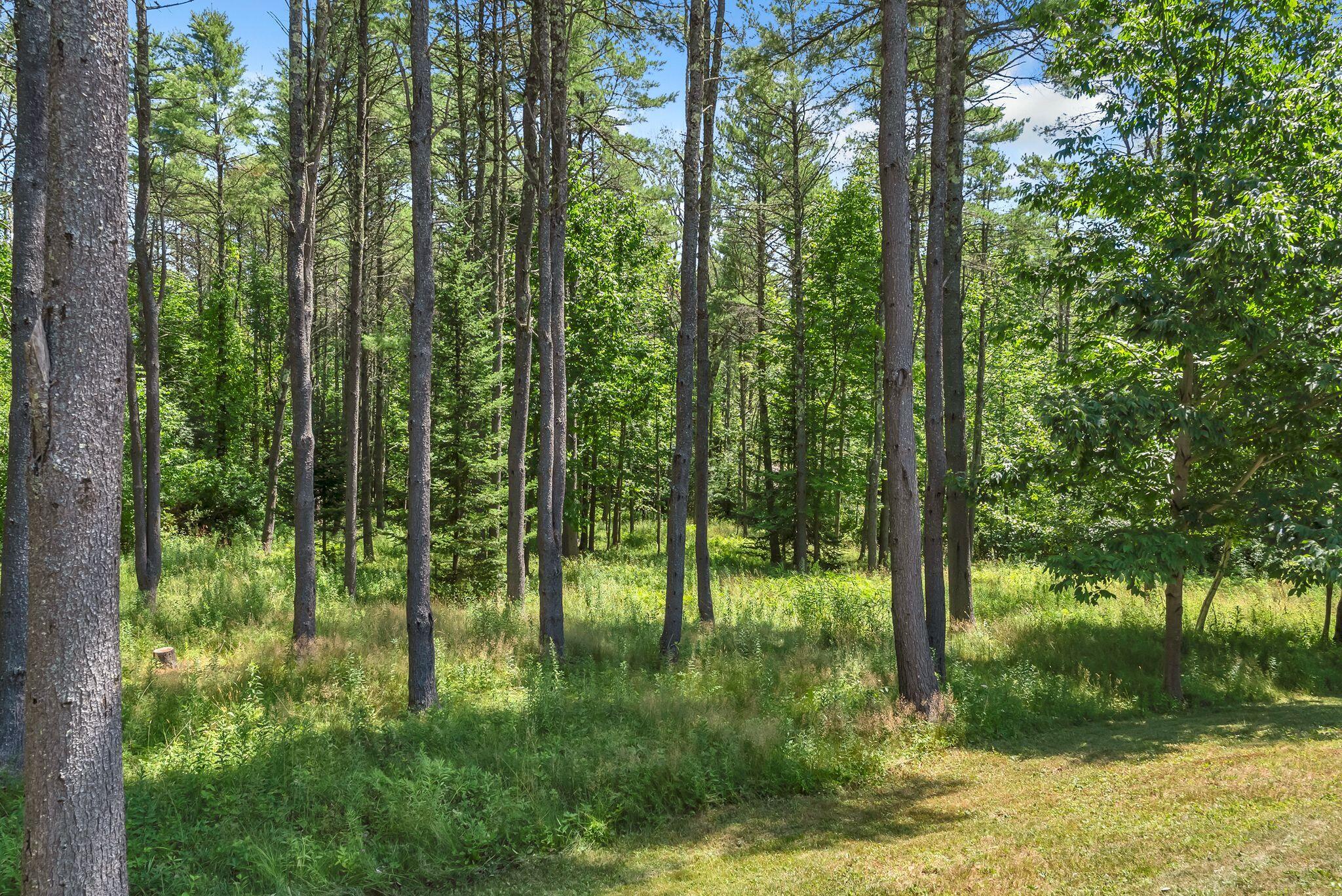 10 Cranberry Ridge Road Property Photo 60