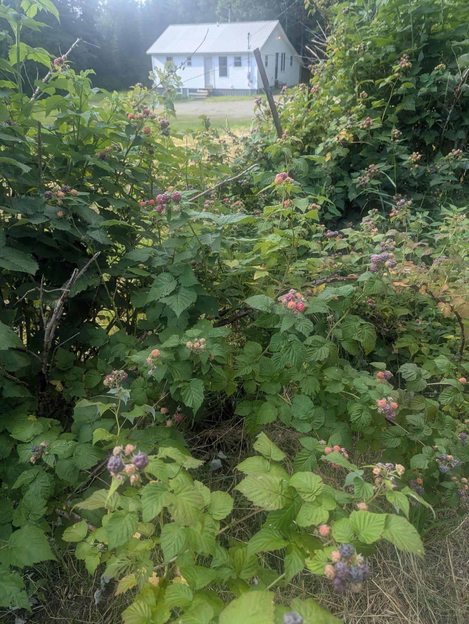 640 Dover Road Property Photo 3