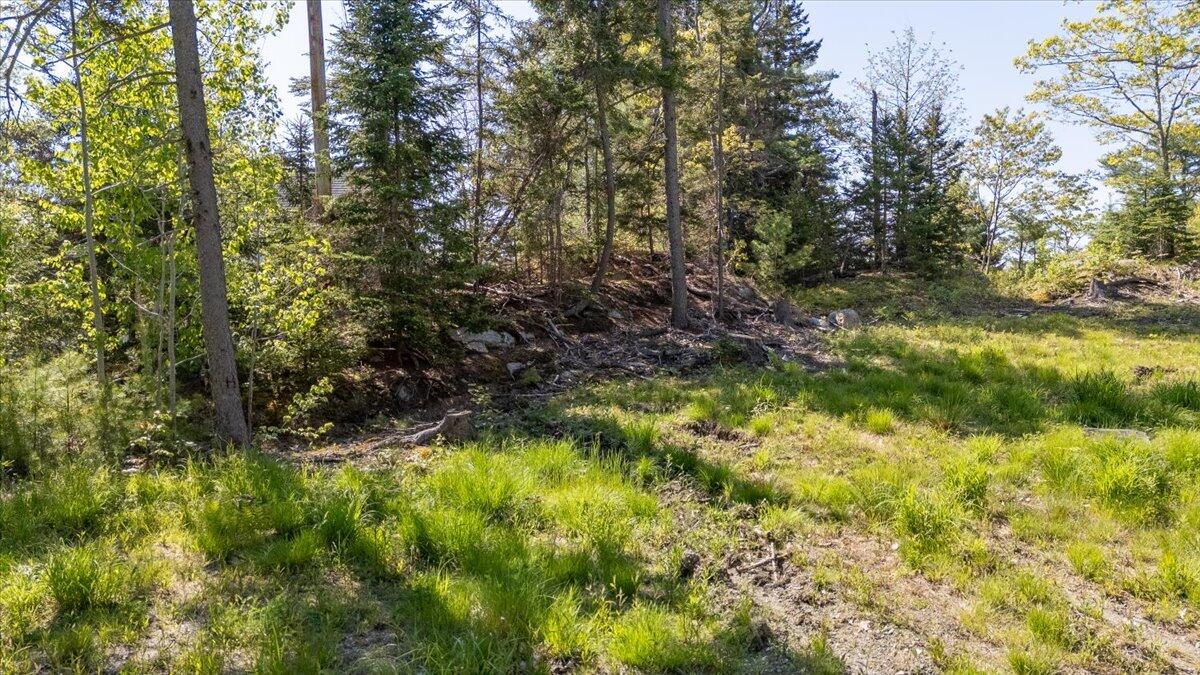 41 Bens Landing Road Property Photo 9