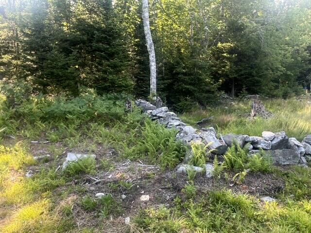 # Bremen Long Island Road Property Photo 21