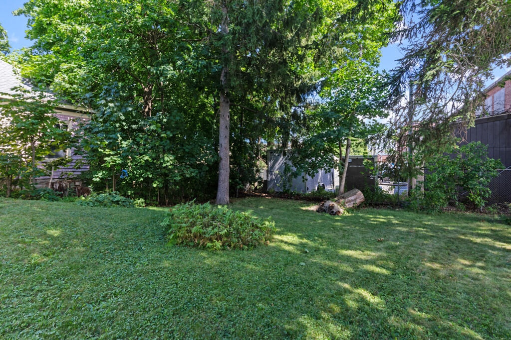 48 Belmont Street Property Photo 50