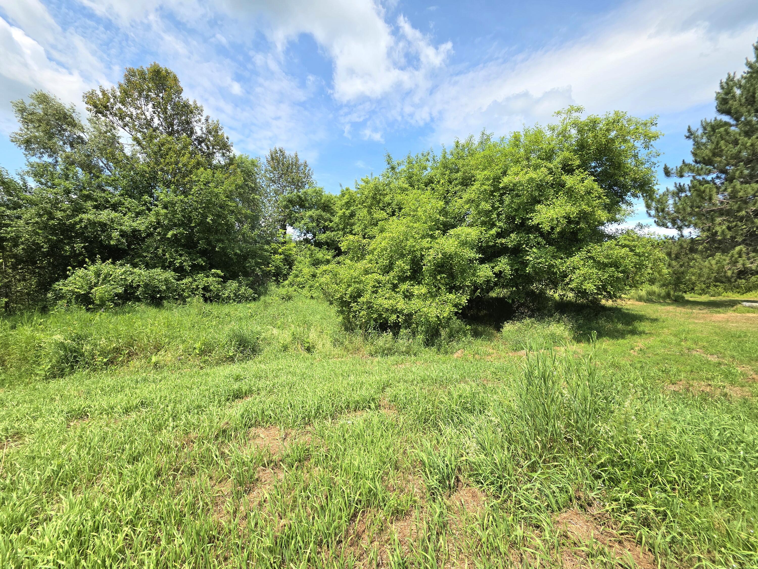 1557 Lyford Road Property Photo 8