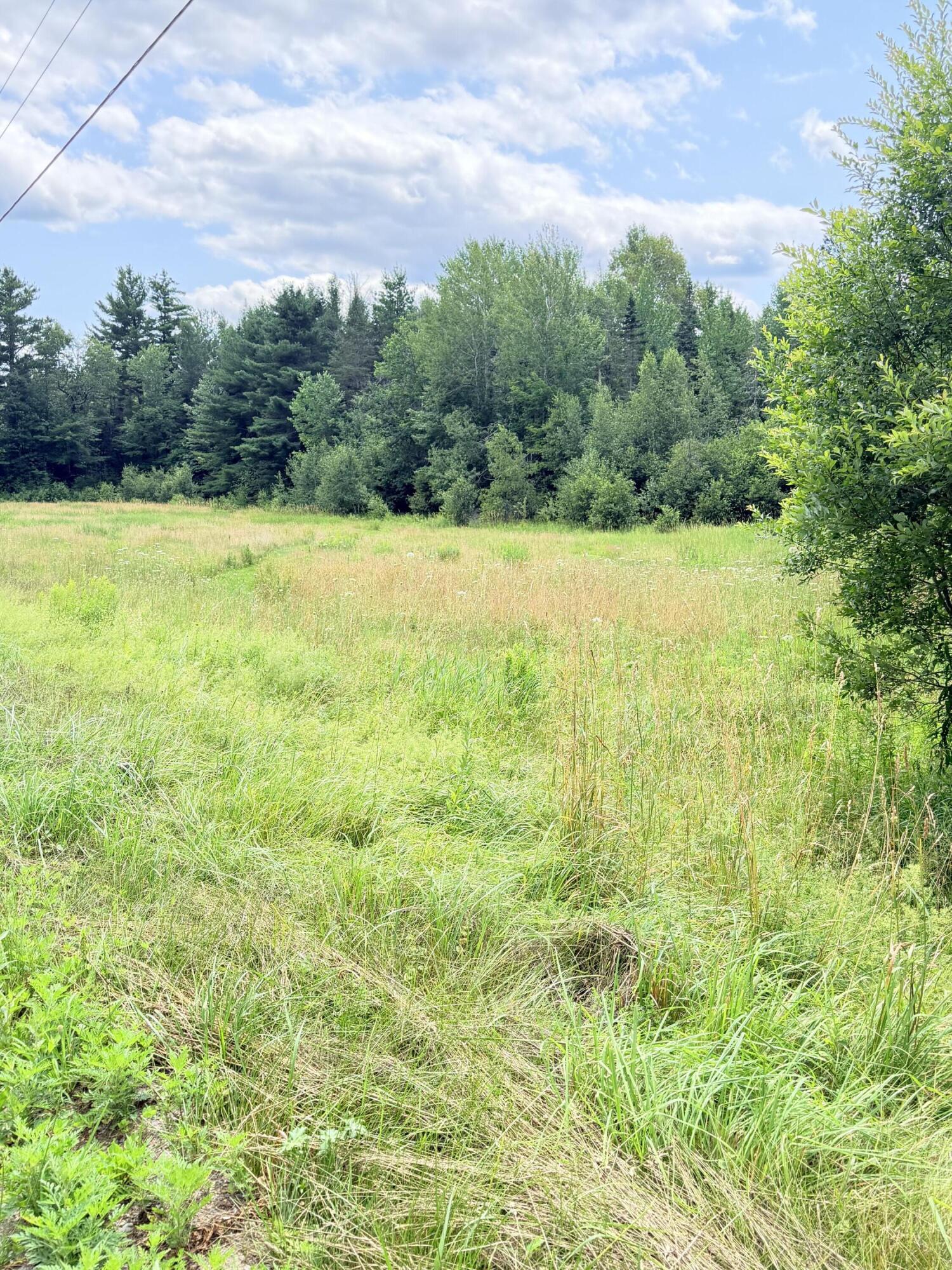 1074 Knox Station Road Property Photo 27
