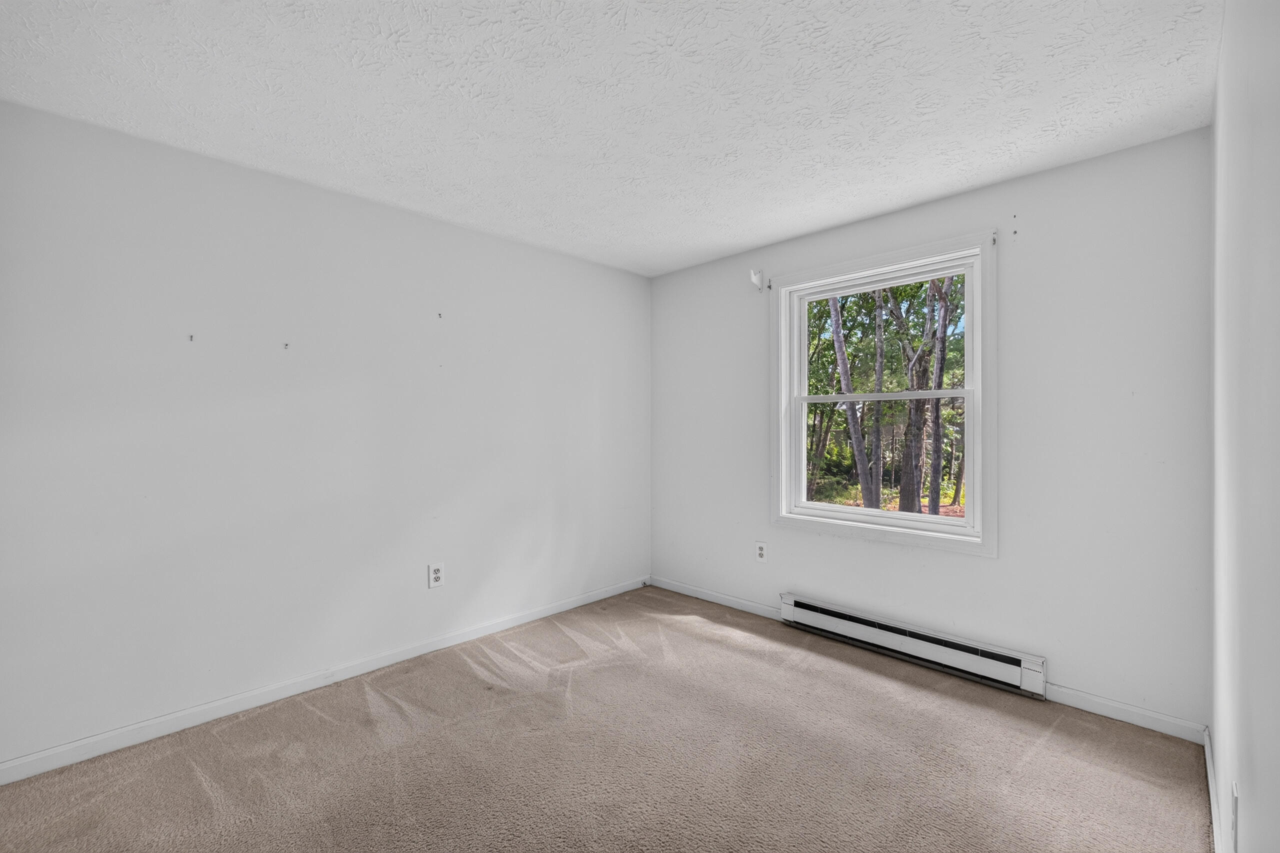 60 Brown Street 8 Property Photo 20