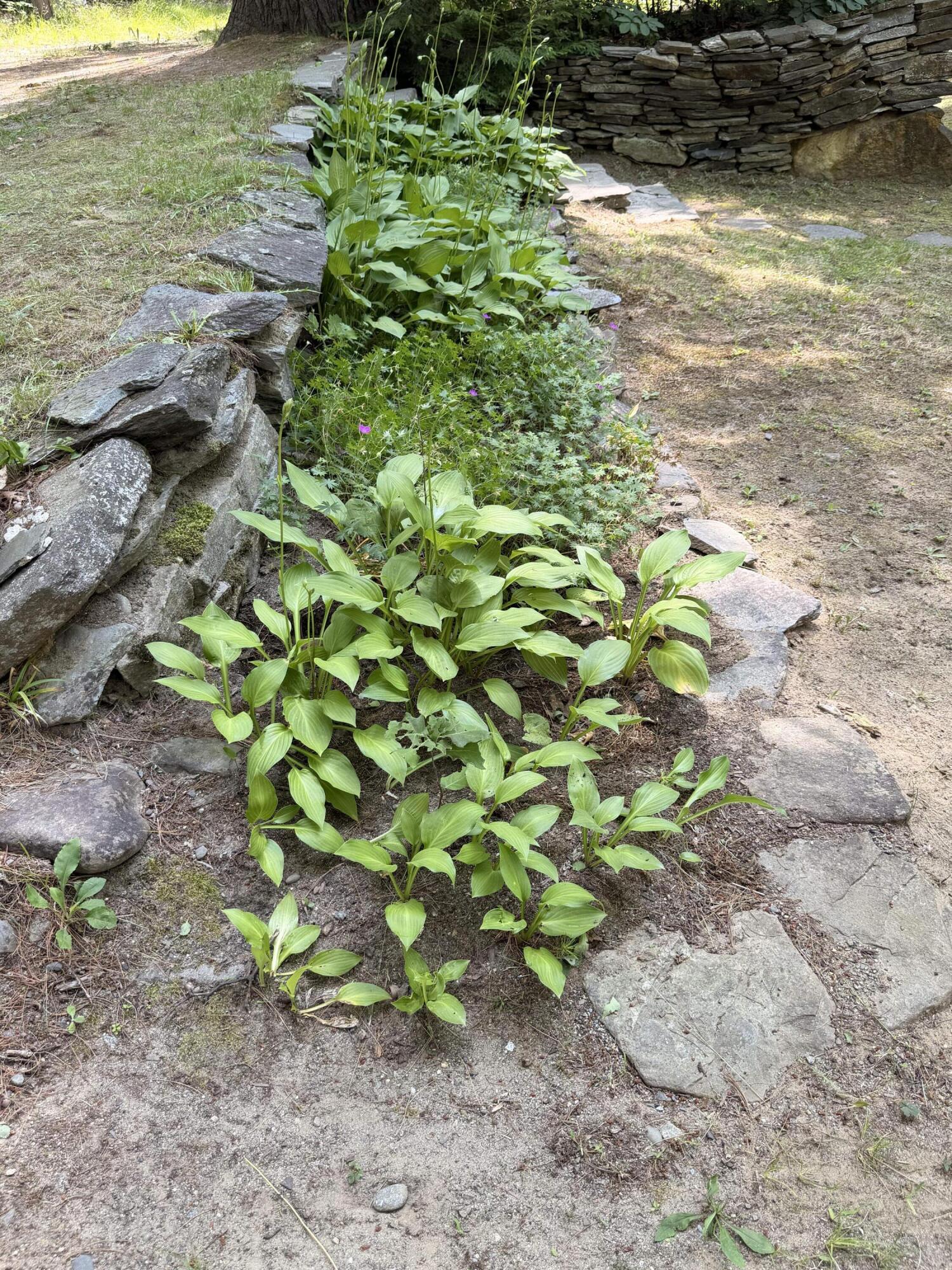 184 Sand Pond Road Property Photo 24