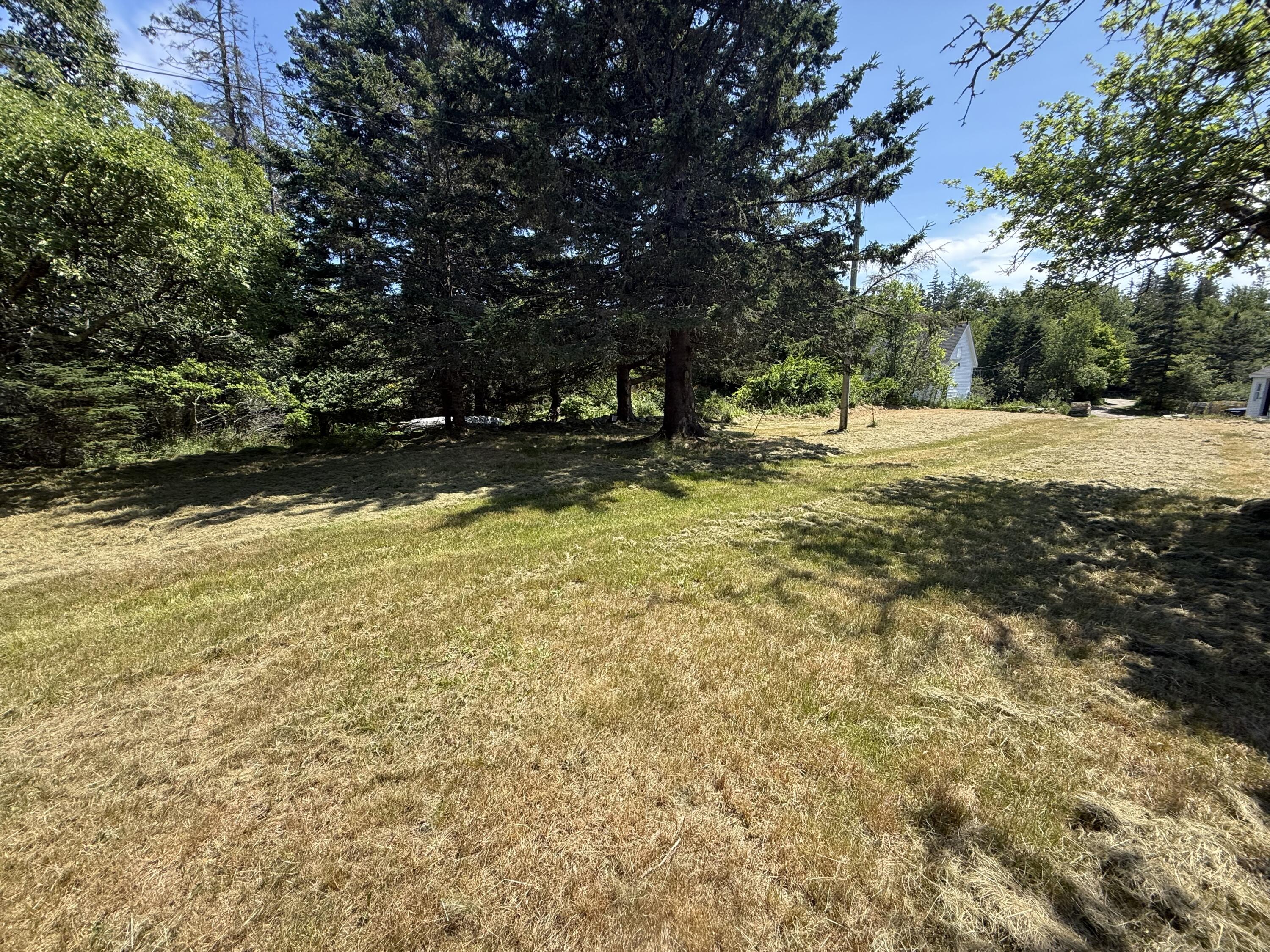 1013 Hummingbird Lane Property Photo 2