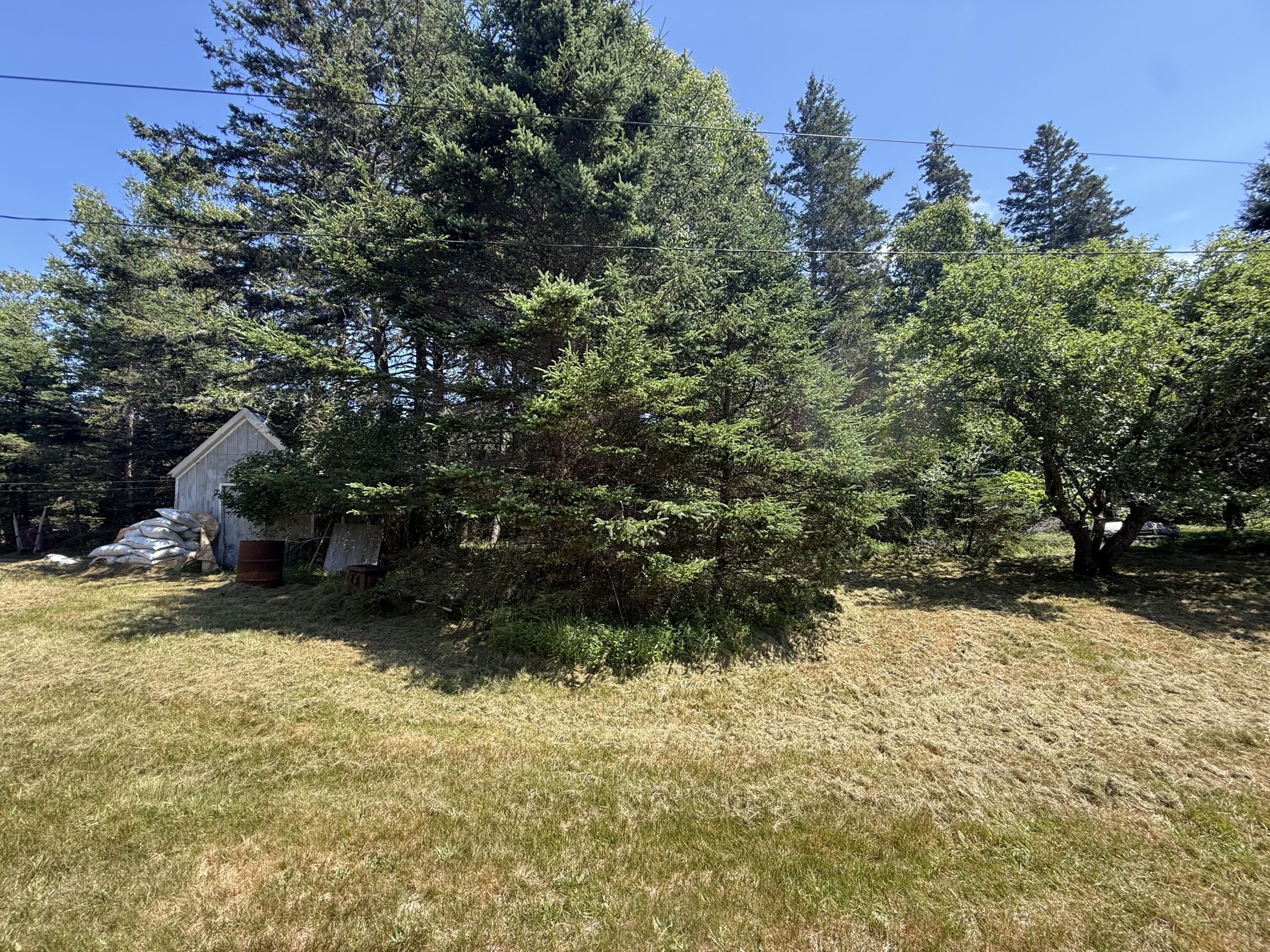 1013 Hummingbird Lane Property Photo 3