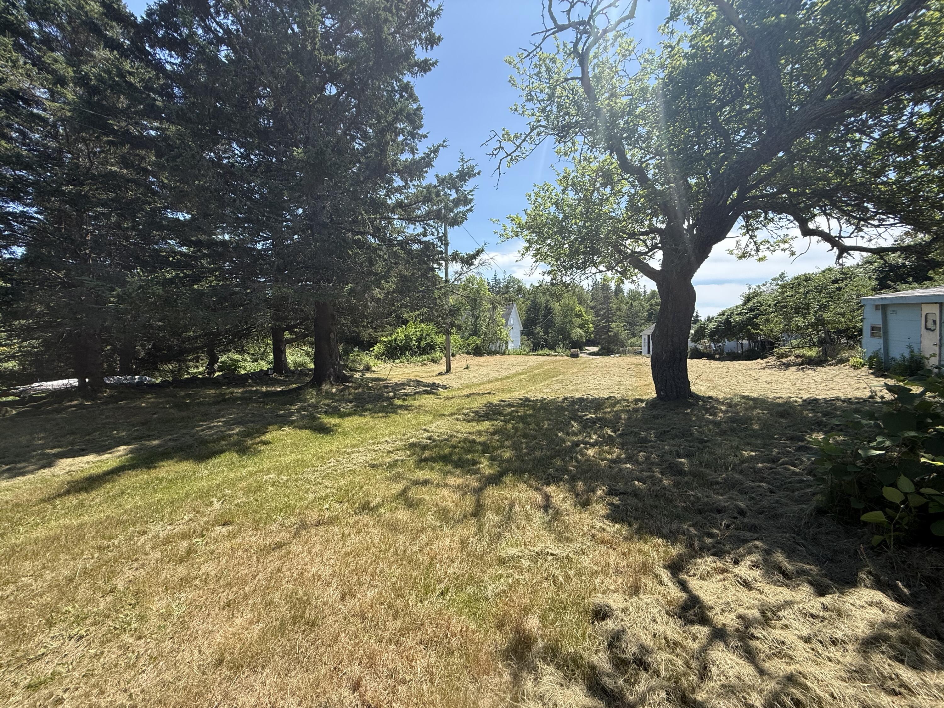 1013 Hummingbird Lane Property Photo 18