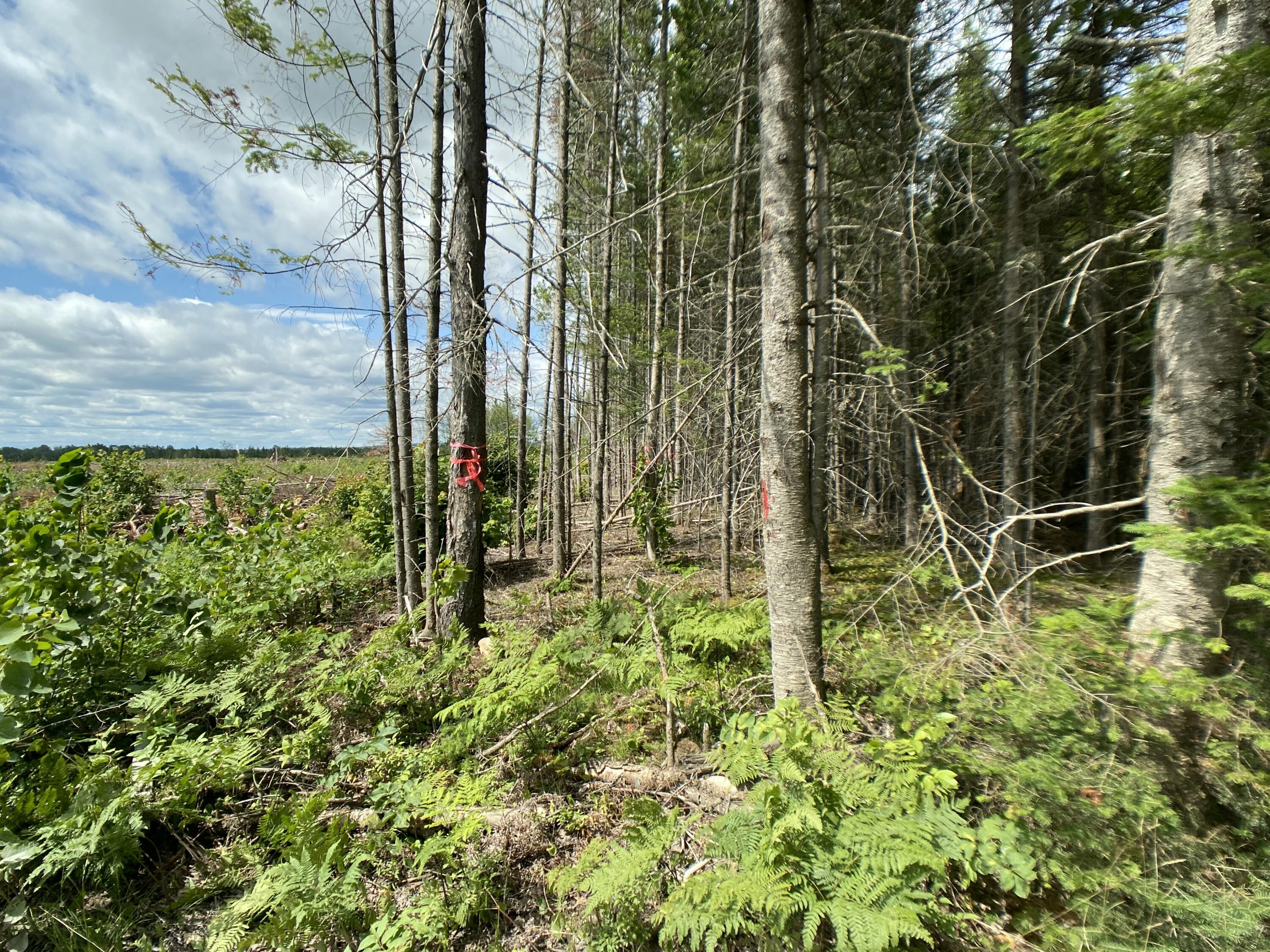 M7l4 Pleine Road Property Photo 16