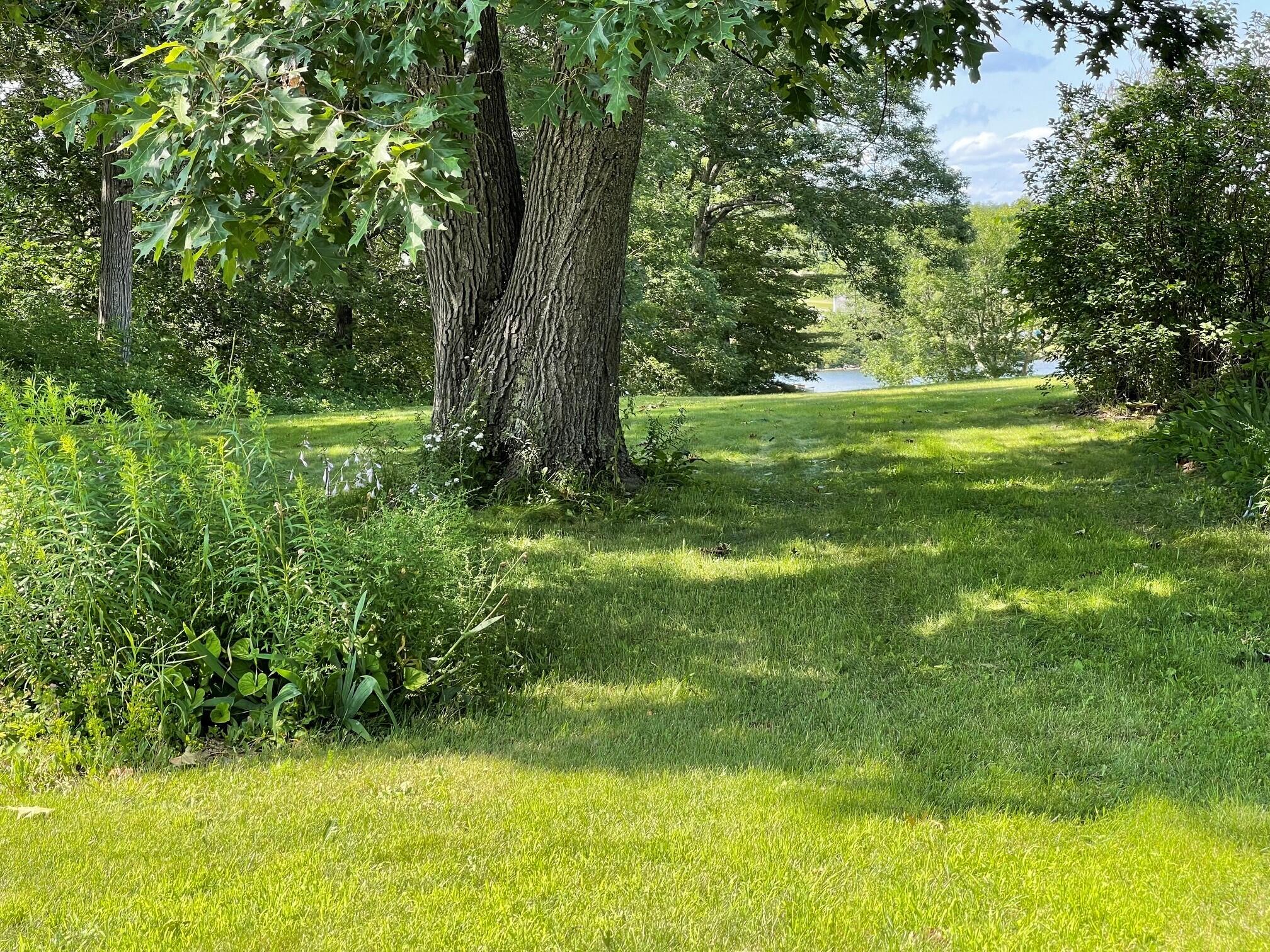 54 Corinna Road Property Photo 81