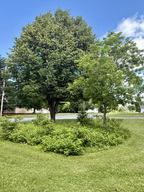 353 U.s. 1 Rt 1 Property Photo 36