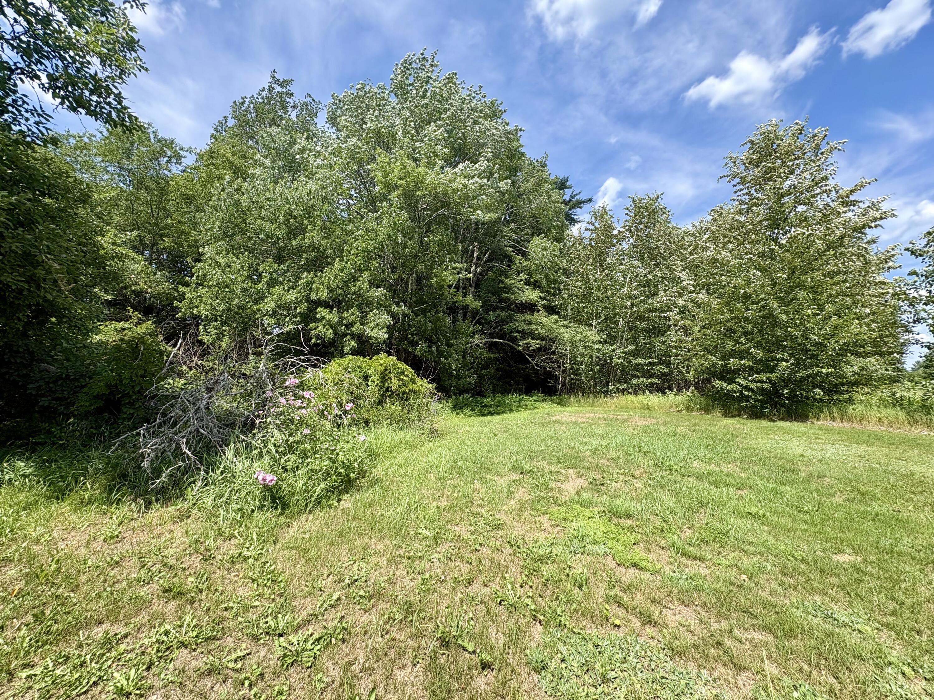 219 River Road Property Photo 34