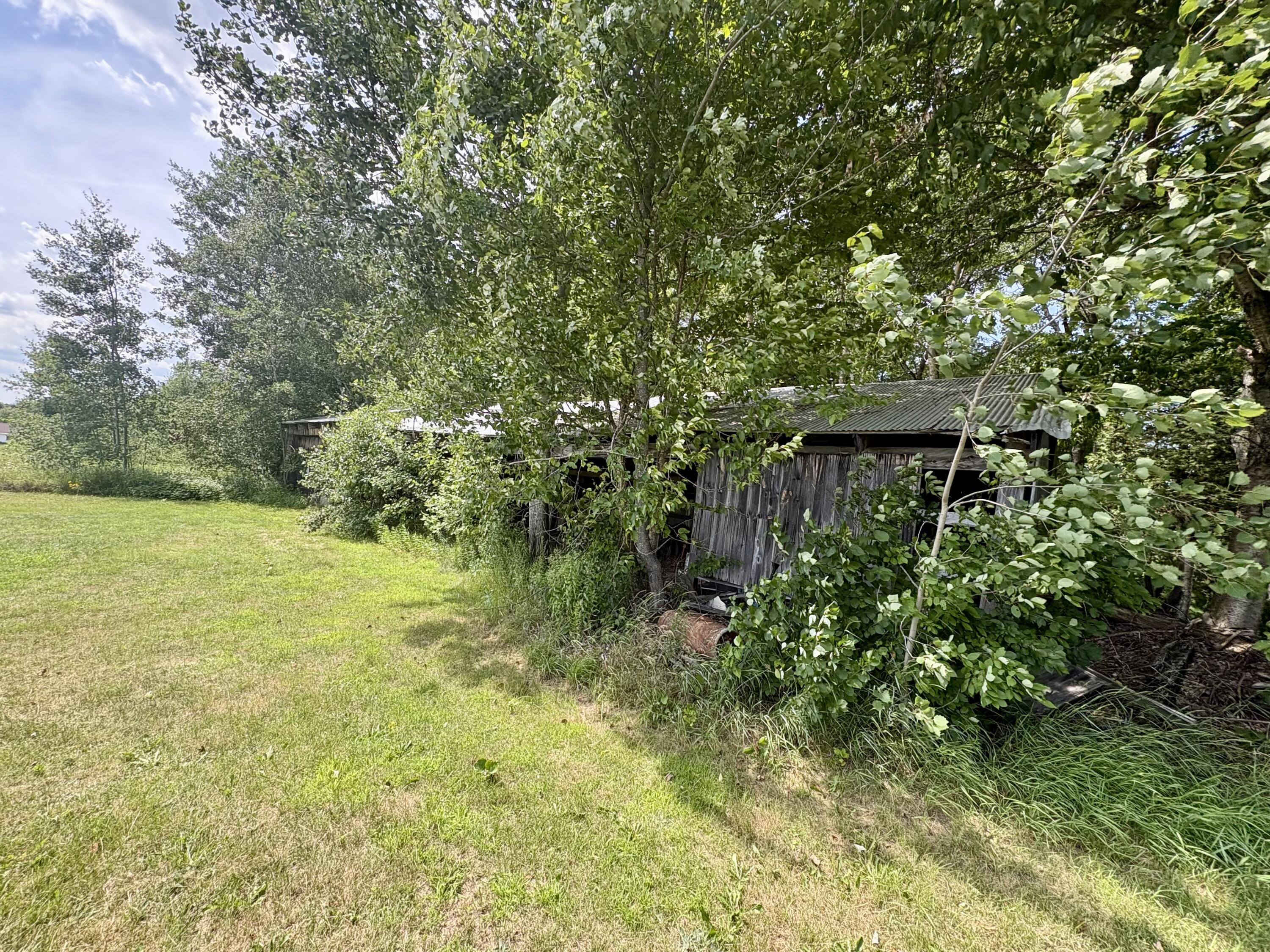 219 River Road Property Photo 43