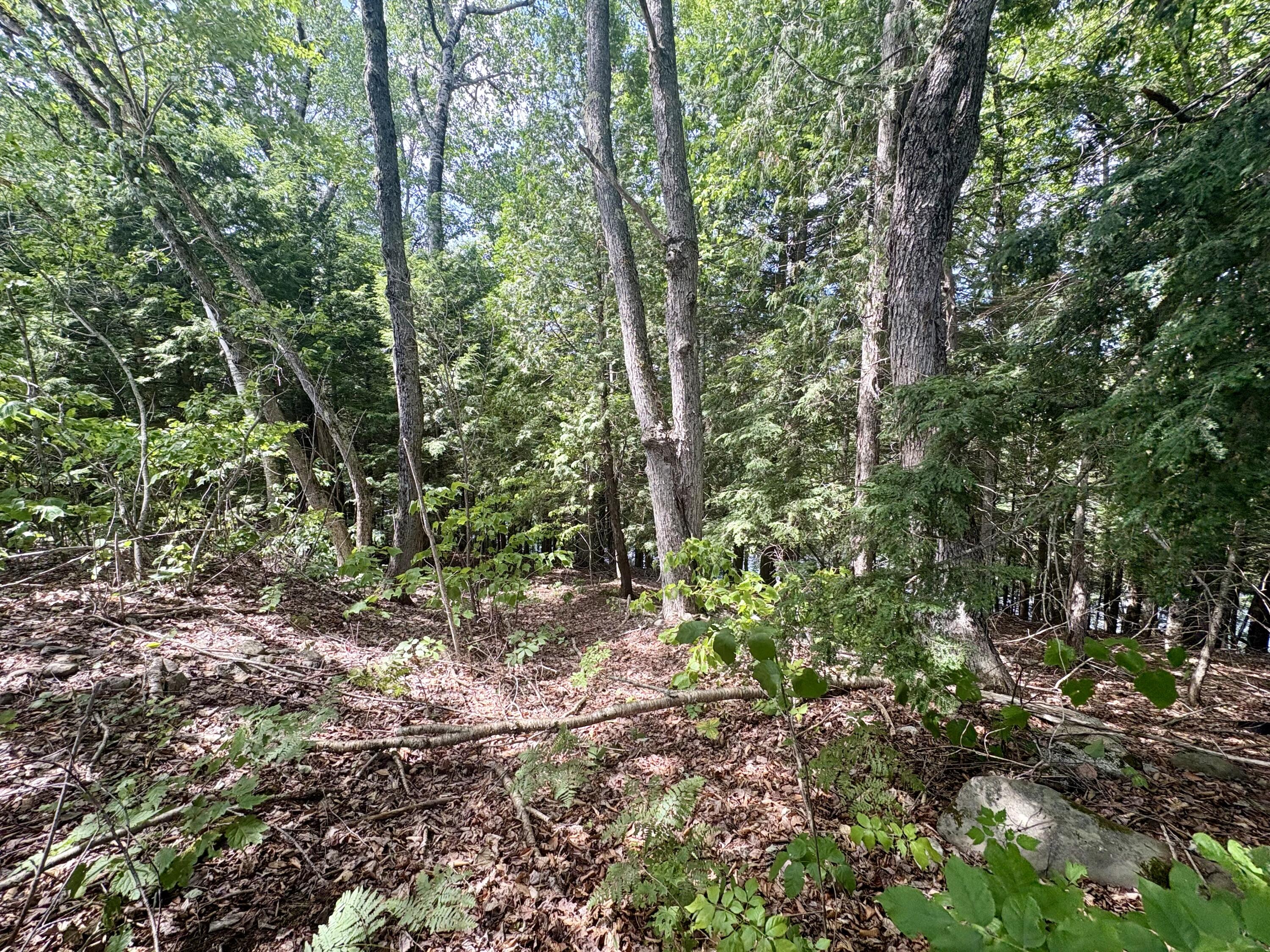 219 River Road Property Photo 48