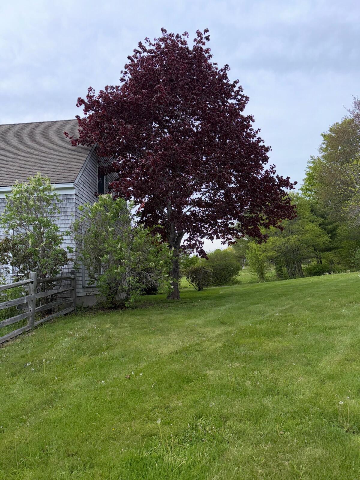 101 Middle Street Property Photo 51