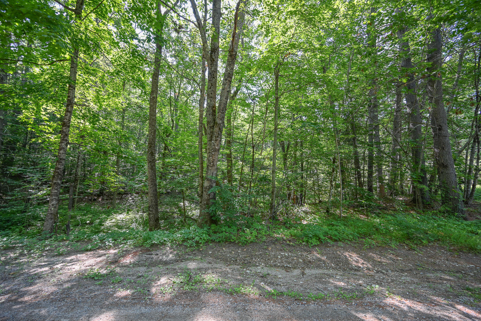 Lot 156 Leisure Lane Property Photo 9