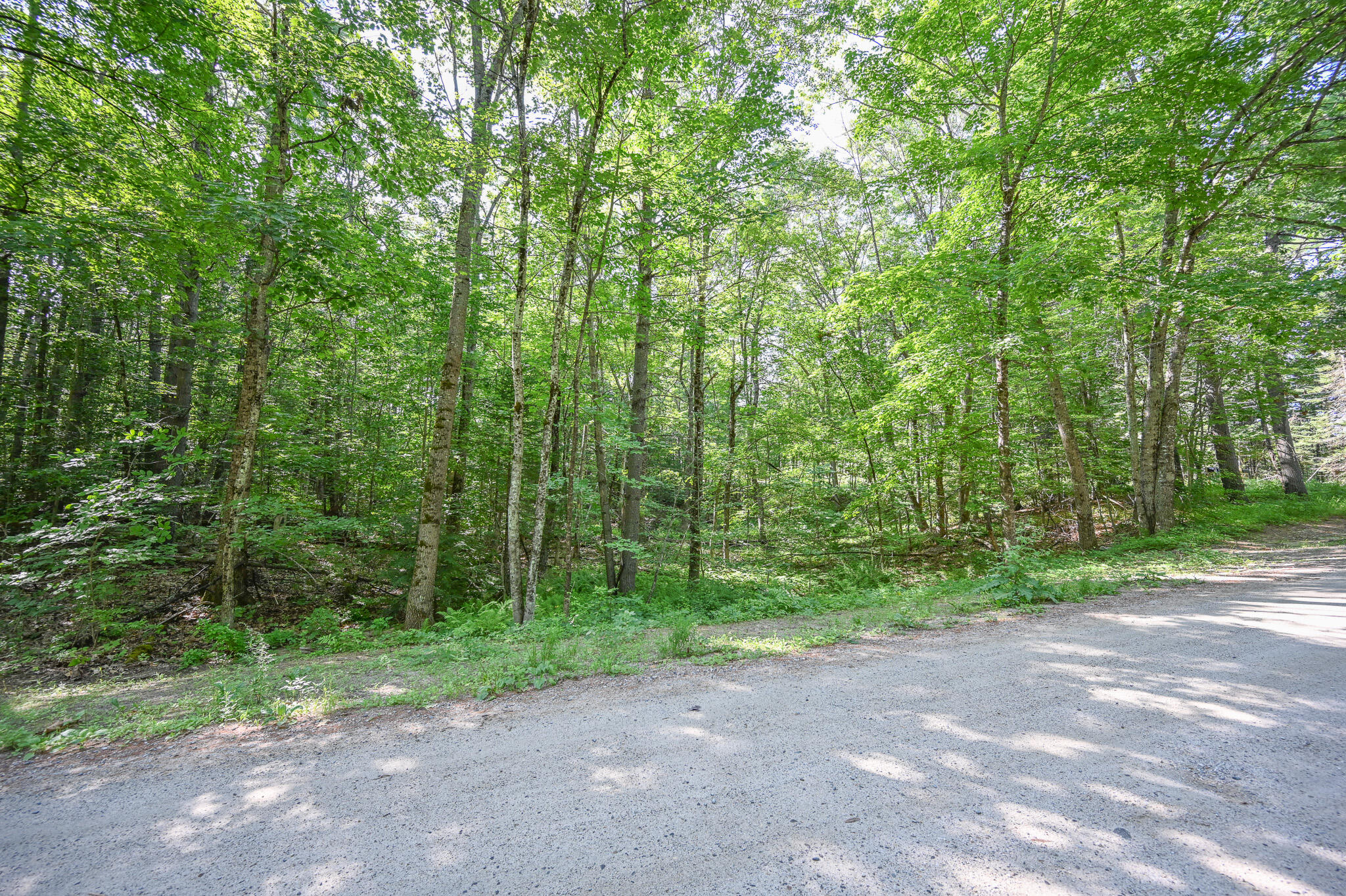 Lot 156 Leisure Lane Property Photo 10