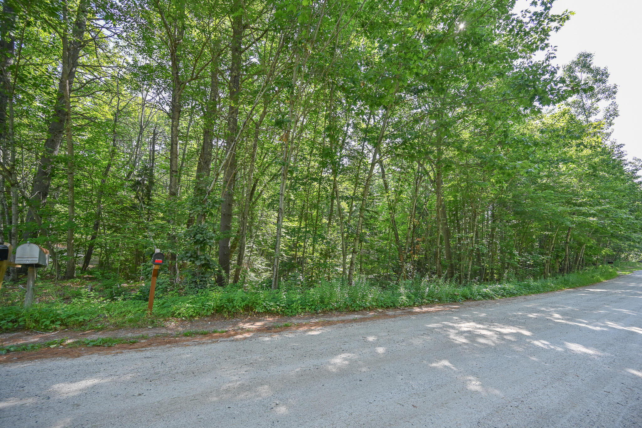 Lot 156 Leisure Lane Property Photo 11