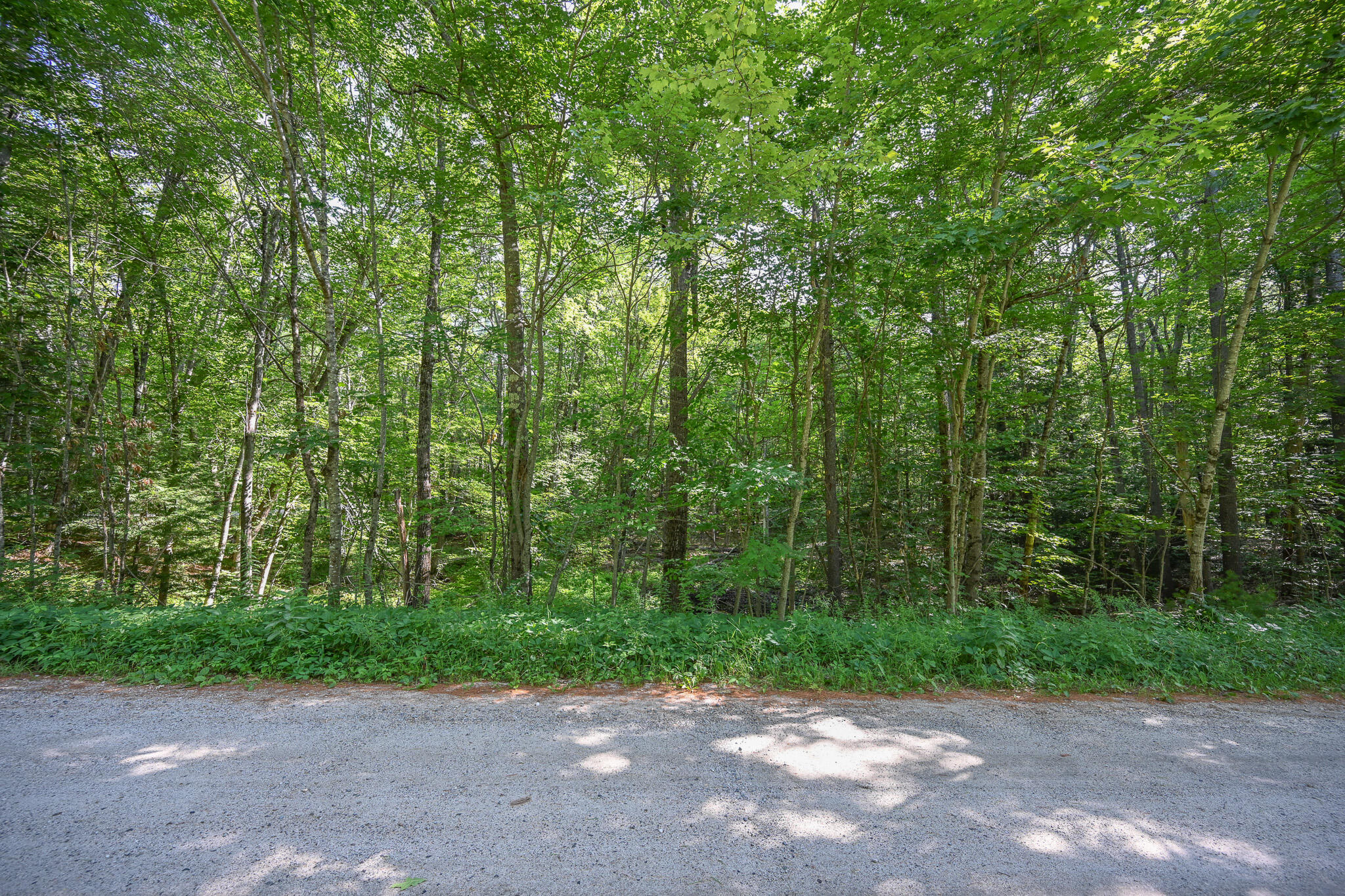 Lot 156 Leisure Lane Property Photo 13