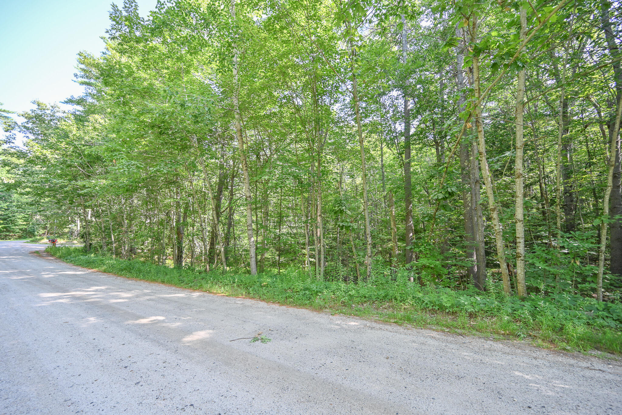 Lot 156 Leisure Lane Property Photo 14