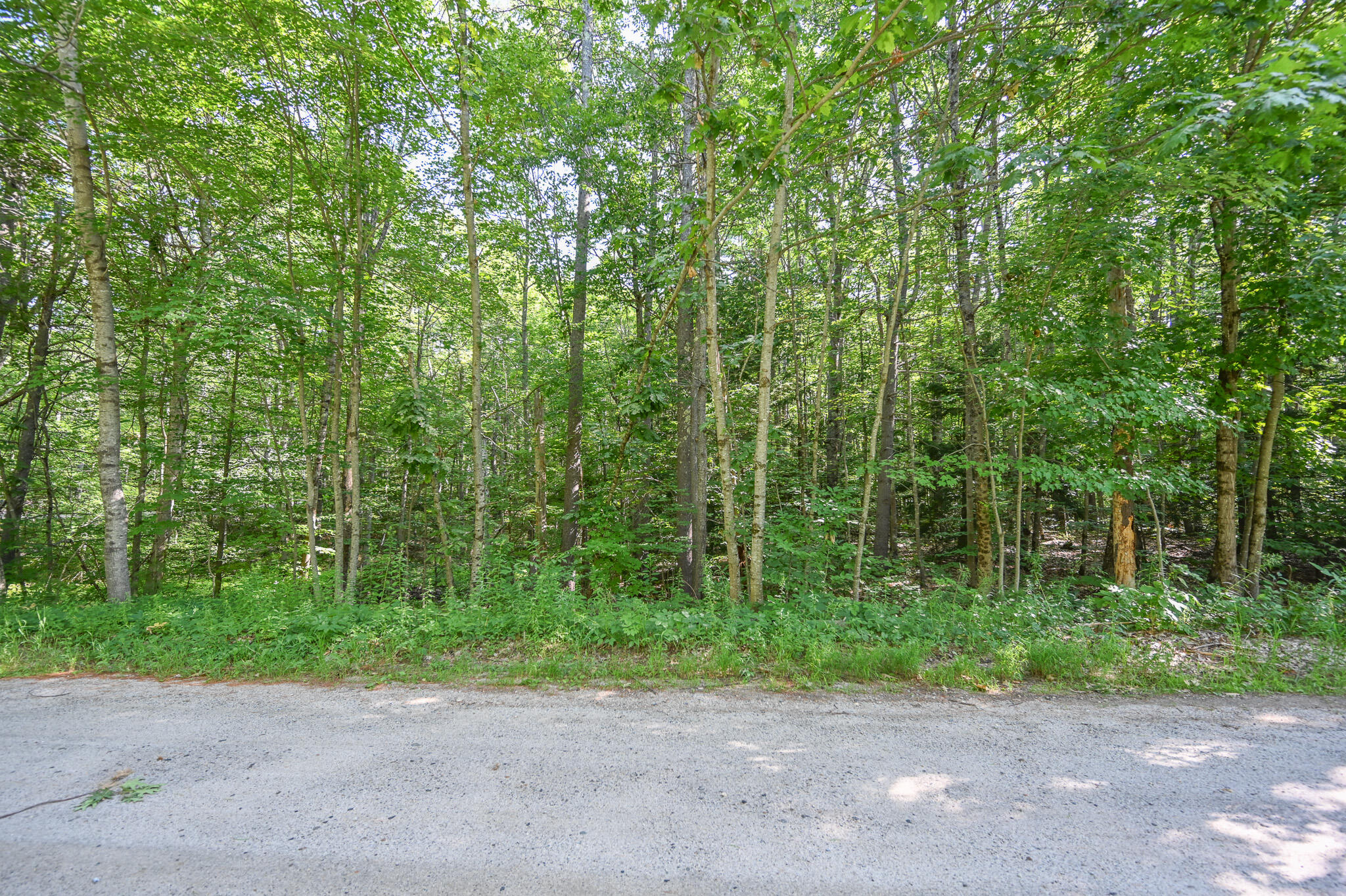 Lot 156 Leisure Lane Property Photo 15