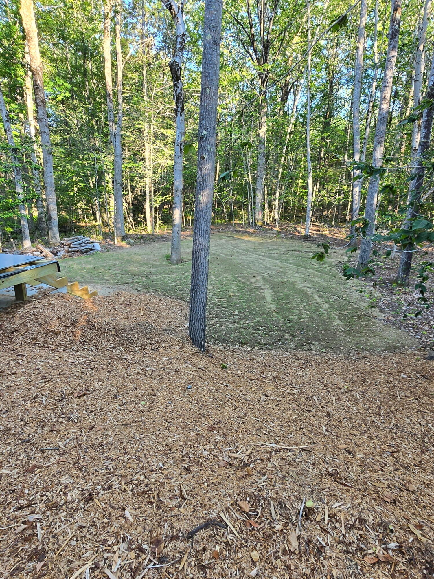 67 Paddock Lane Property Photo 18