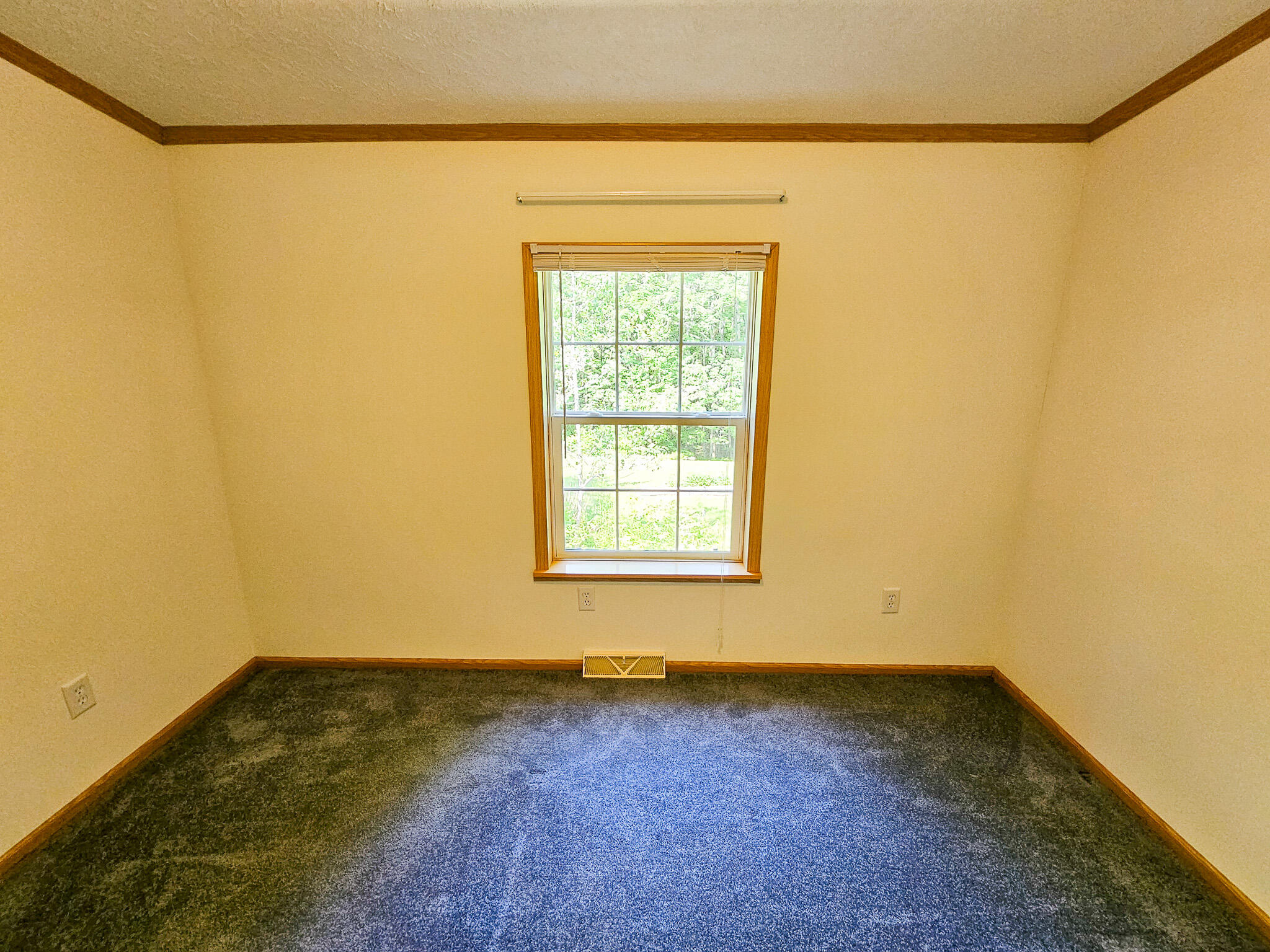 87 Cumner Road Property Photo 47