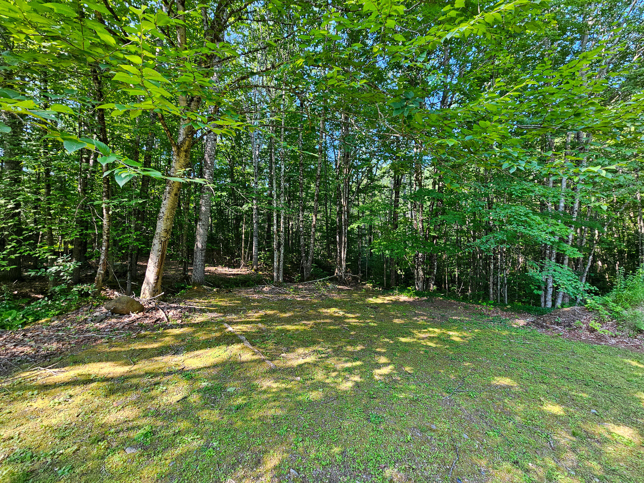 87 Cumner Road Property Photo 90