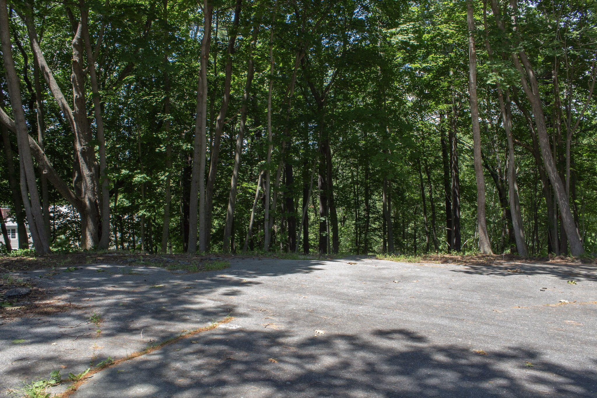 44 Allen Avenue Extension Property Photo 13
