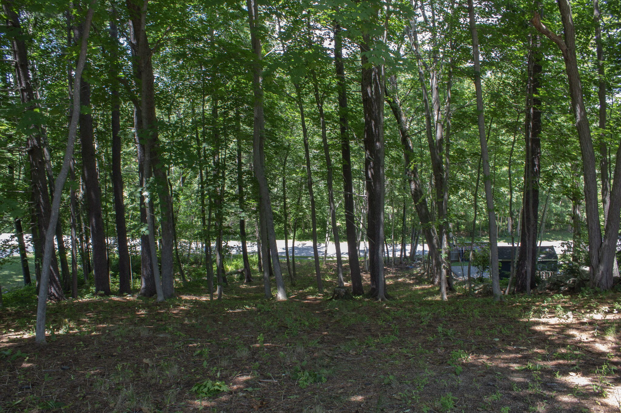 44 Allen Avenue Extension Property Photo 37