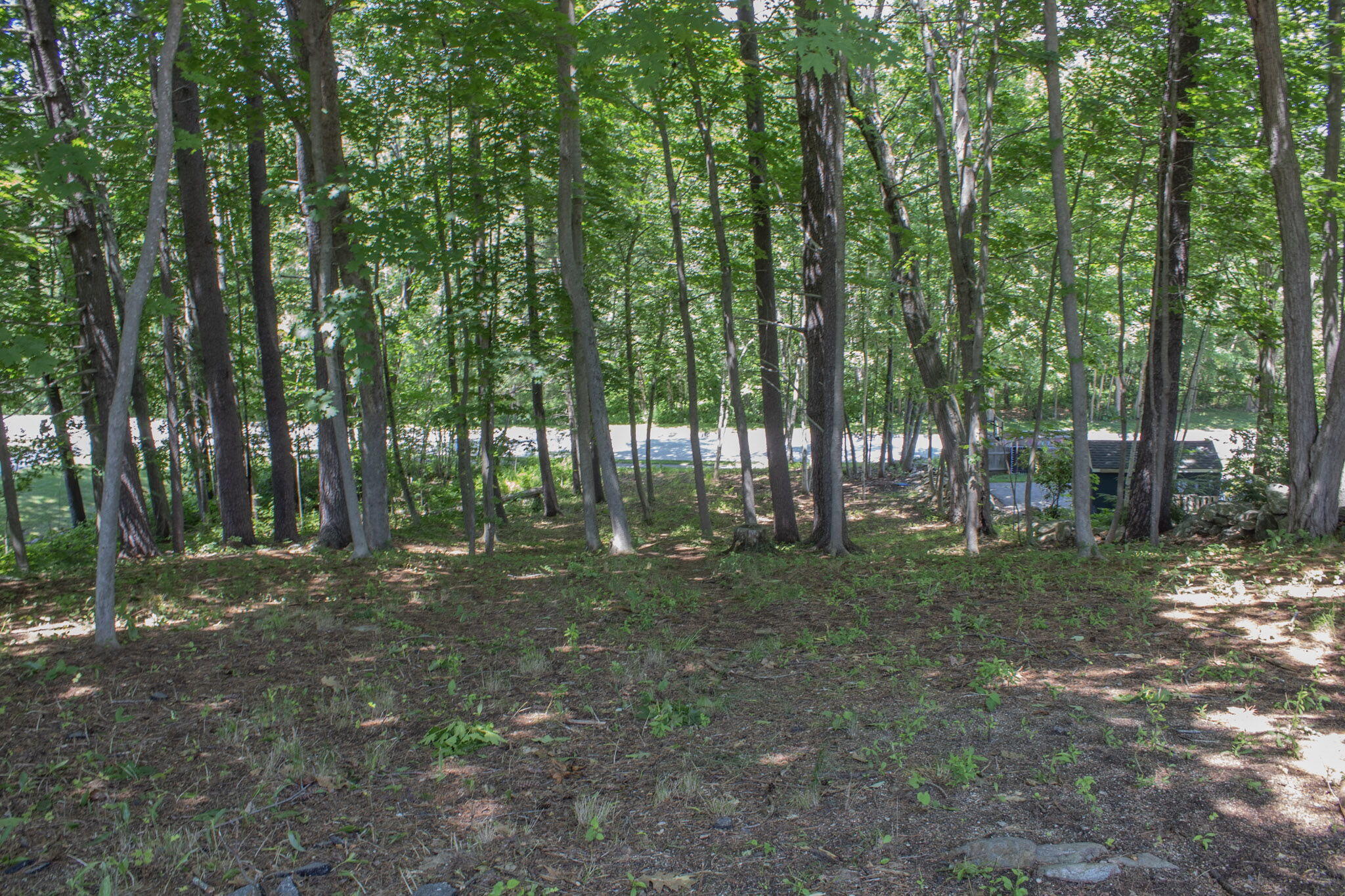 44 Allen Avenue Extension Property Photo 38