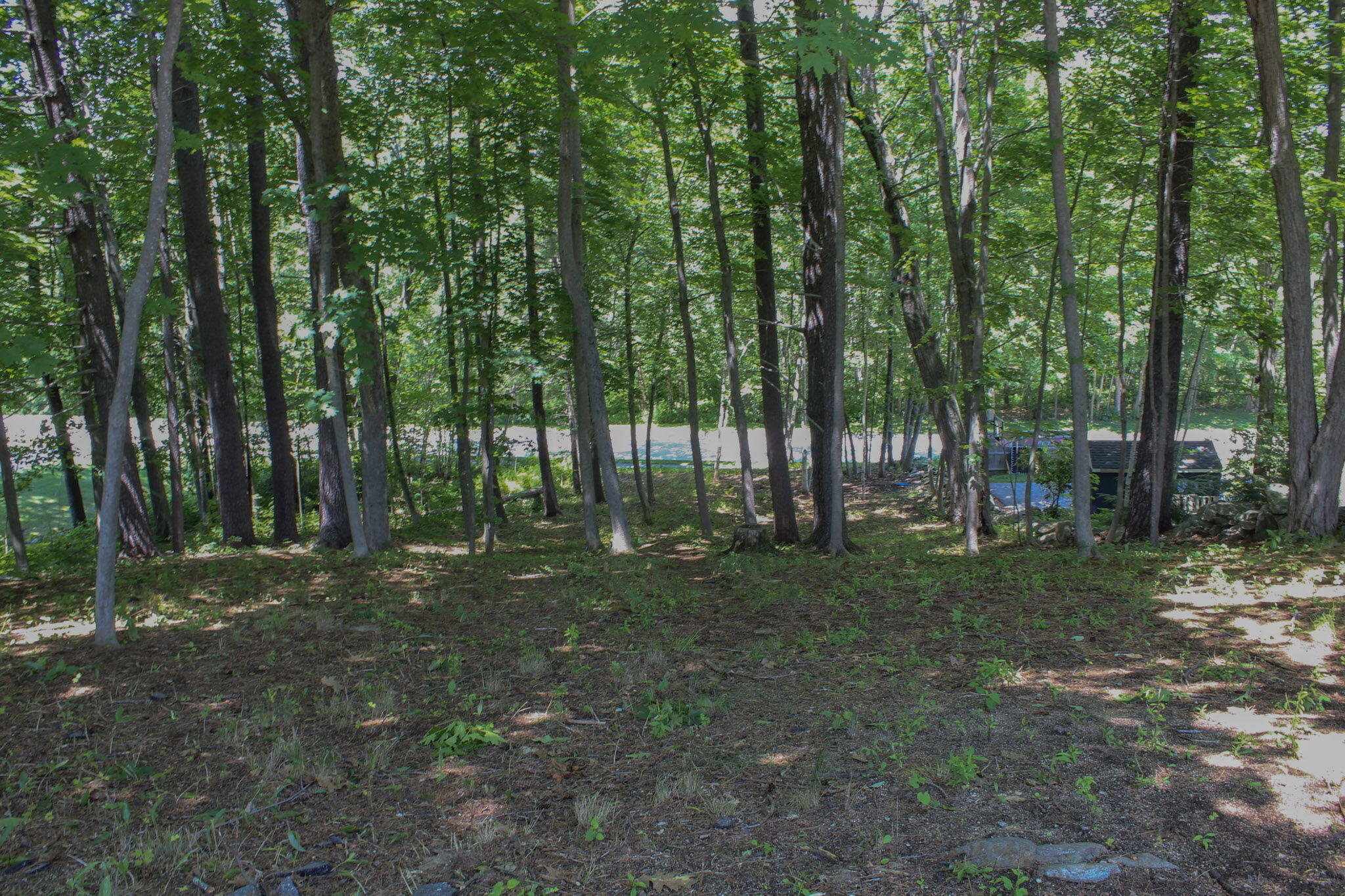 44 Allen Avenue Extension Property Photo 39