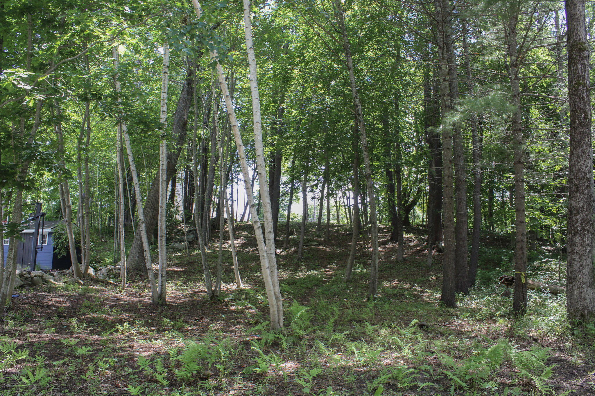 44 Allen Avenue Extension Property Photo 41