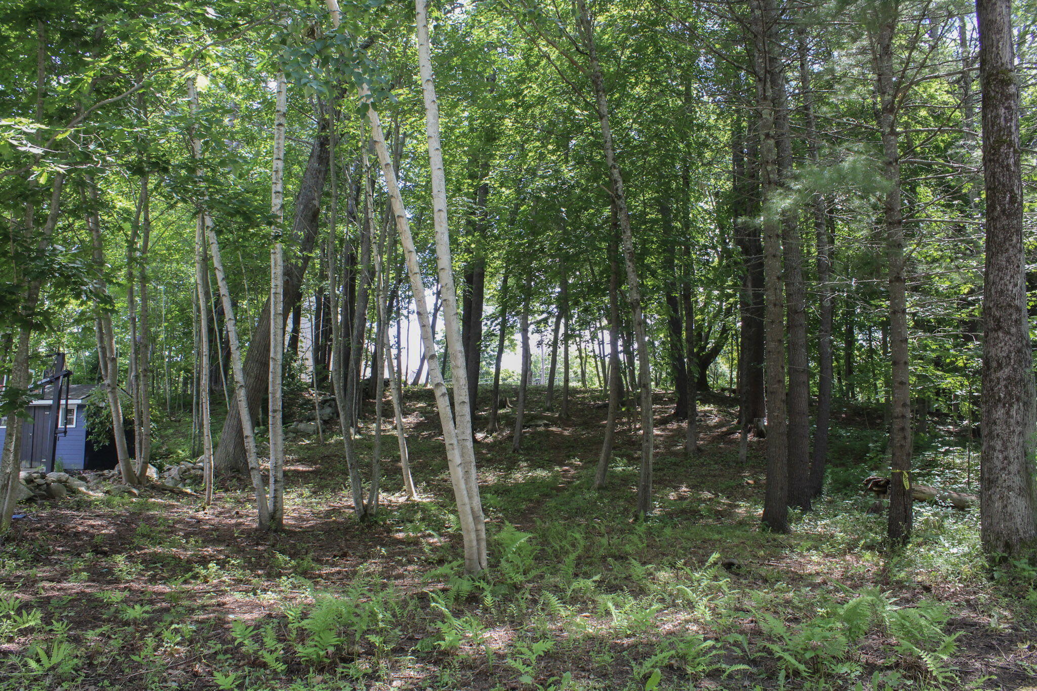 44 Allen Avenue Extension Property Photo 42