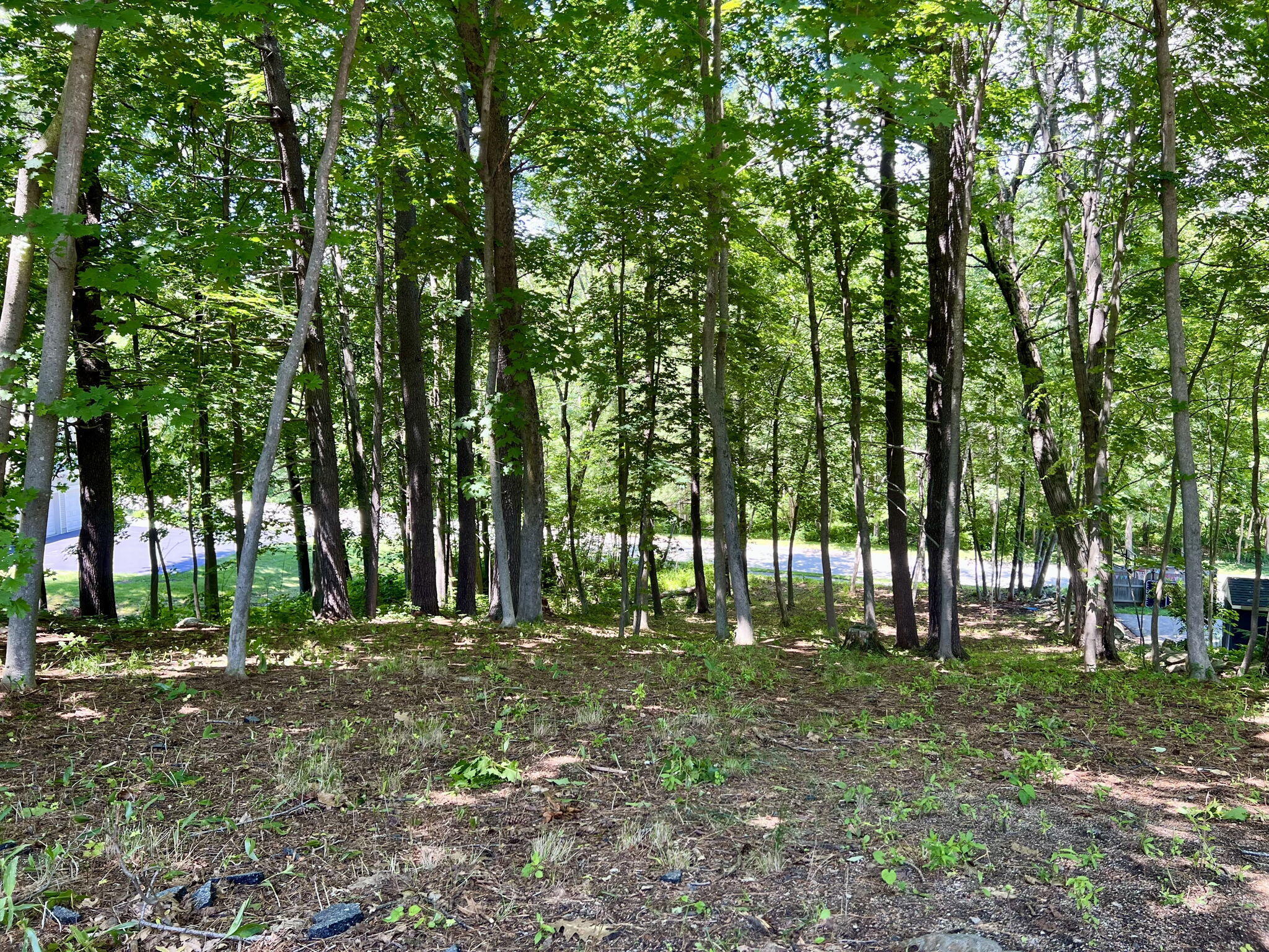 44 Allen Avenue Extension Property Photo 44