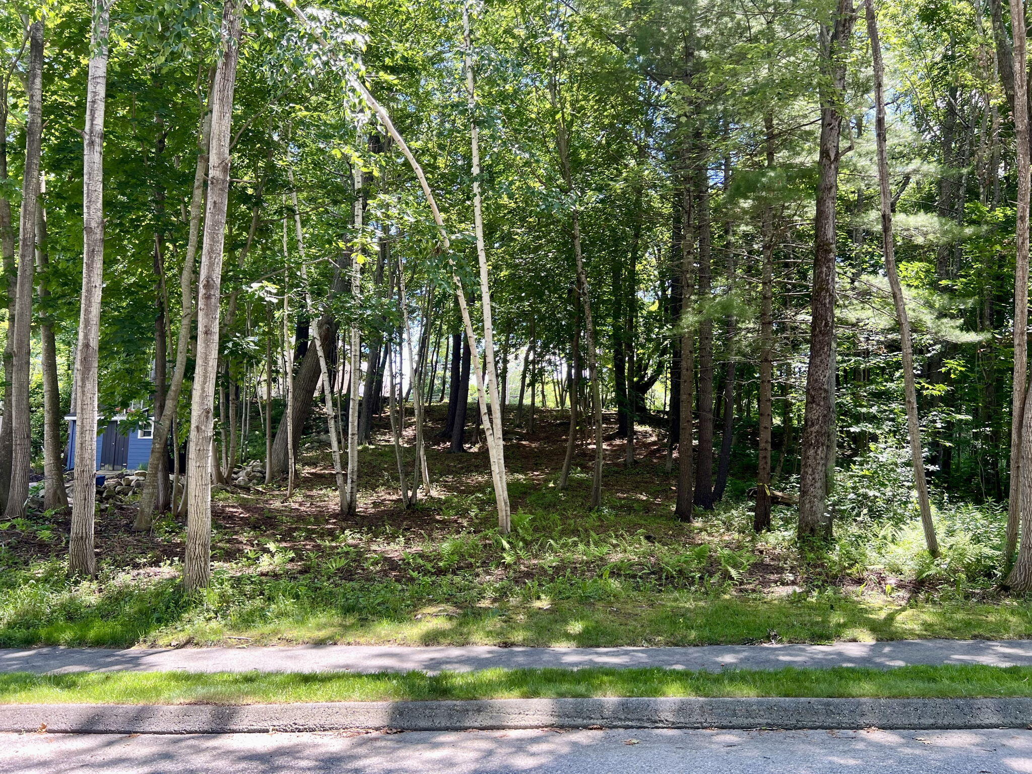 44 Allen Avenue Extension Property Photo 45