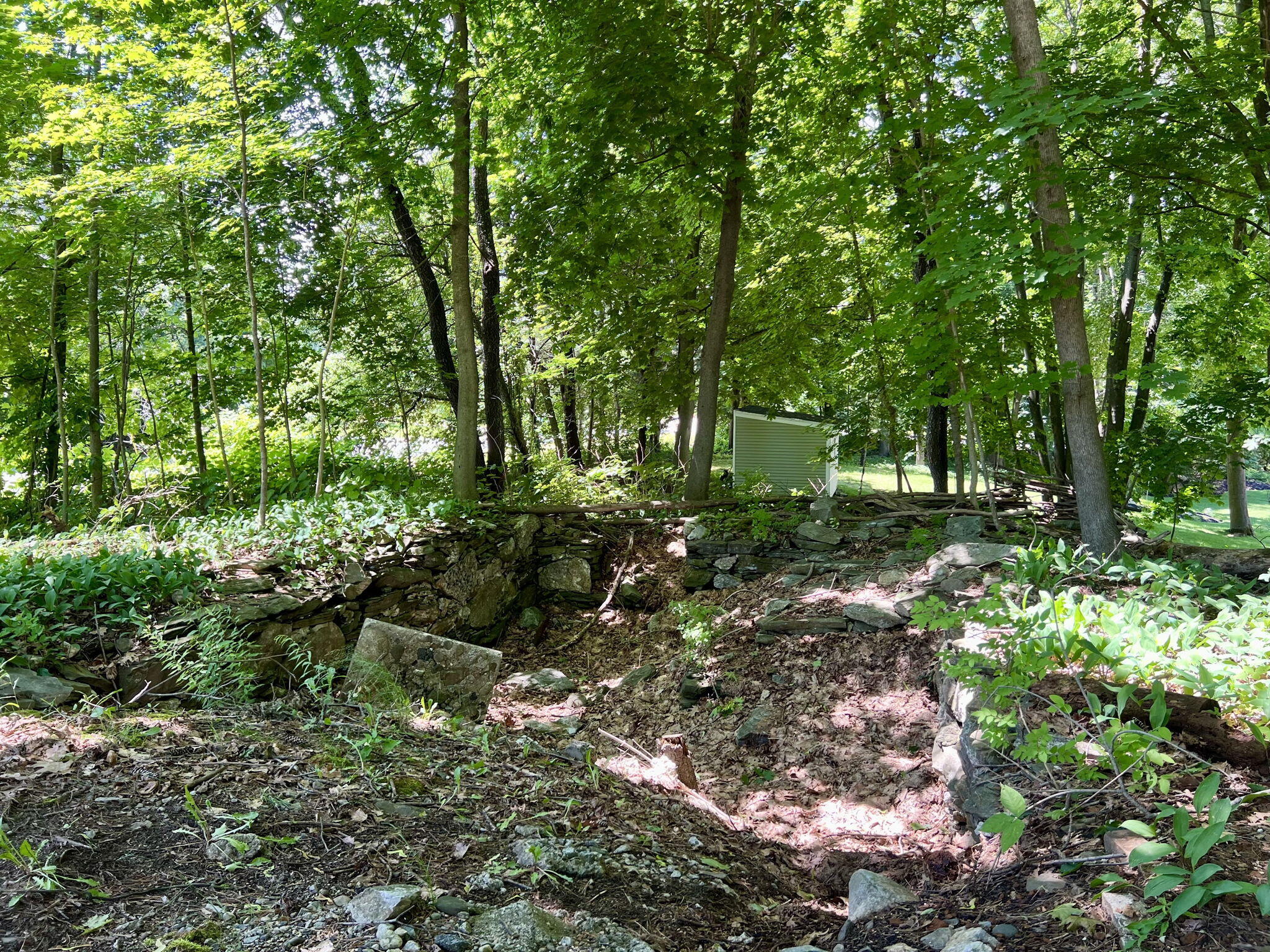 44 Allen Avenue Extension Property Photo 46