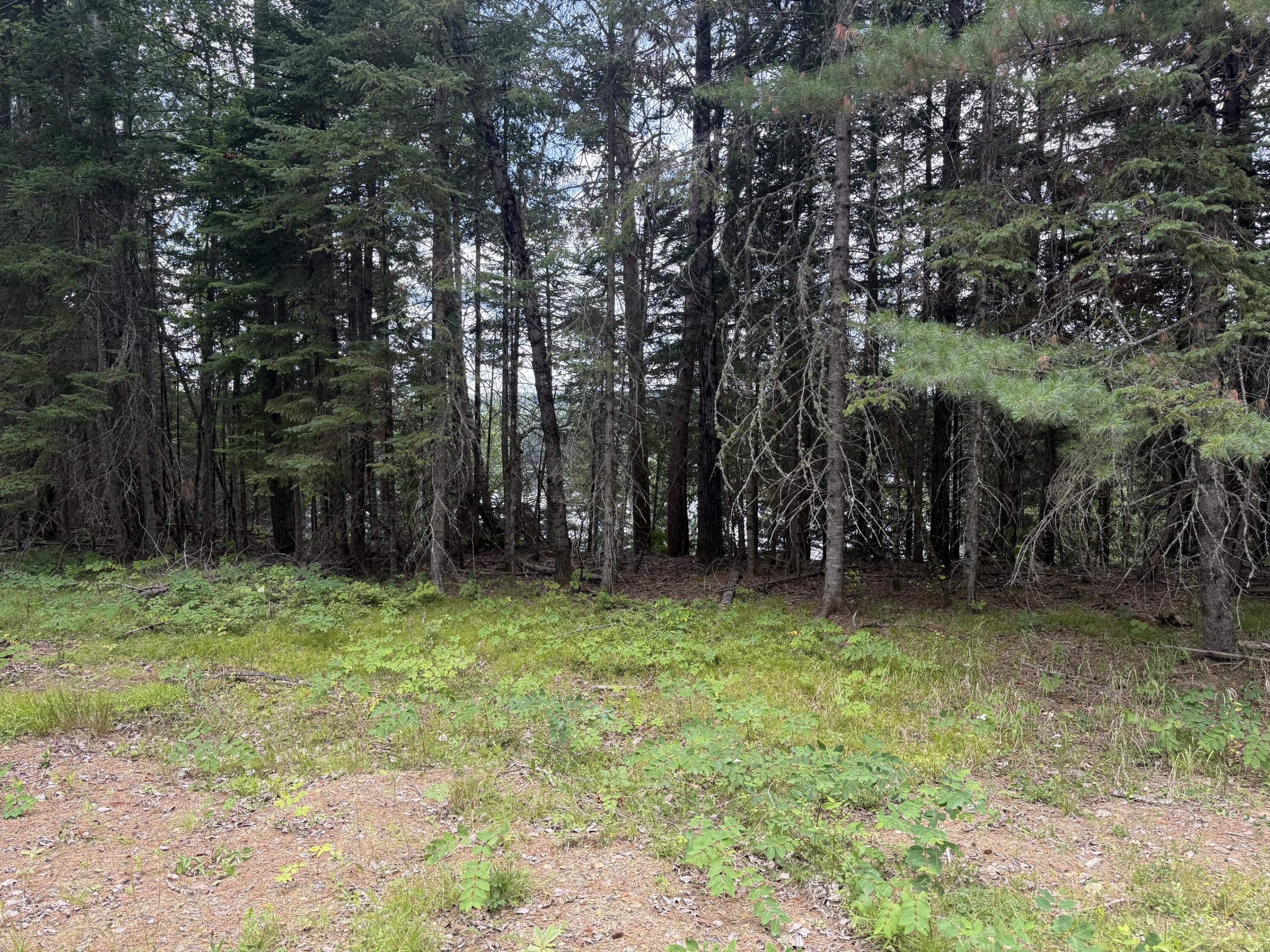99 Flagstaff Road Property Photo 8